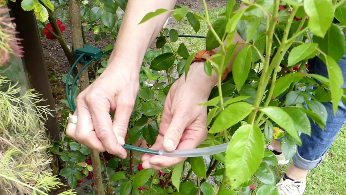 Pflanzenhalter flower-fix Größe L Ø 45 cm bis 75 cm