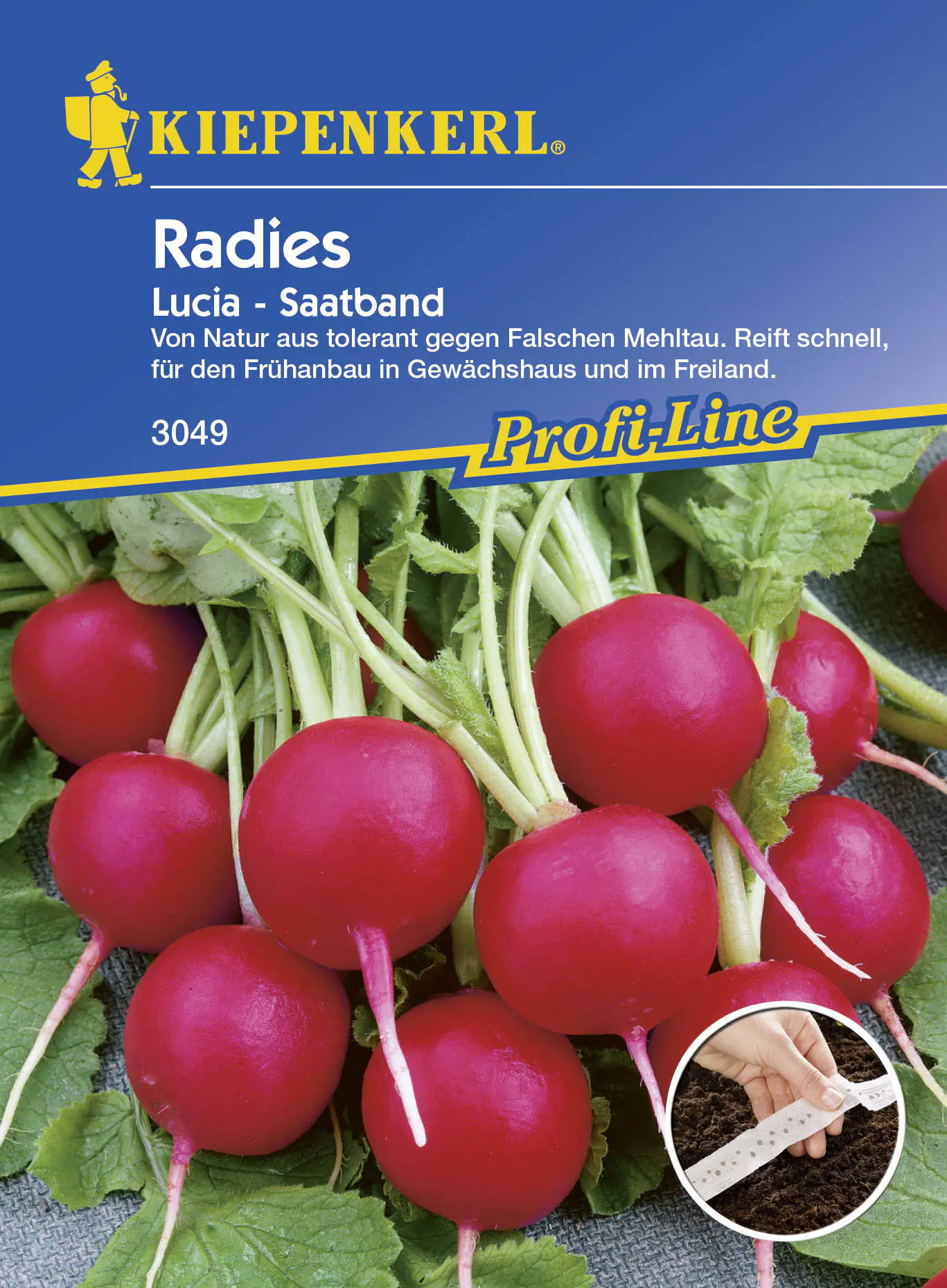 Kiepenkerl Radieschen Lucia Raphanus sativus var. sativus, Inhalt: ca. 5 lfd. Meter