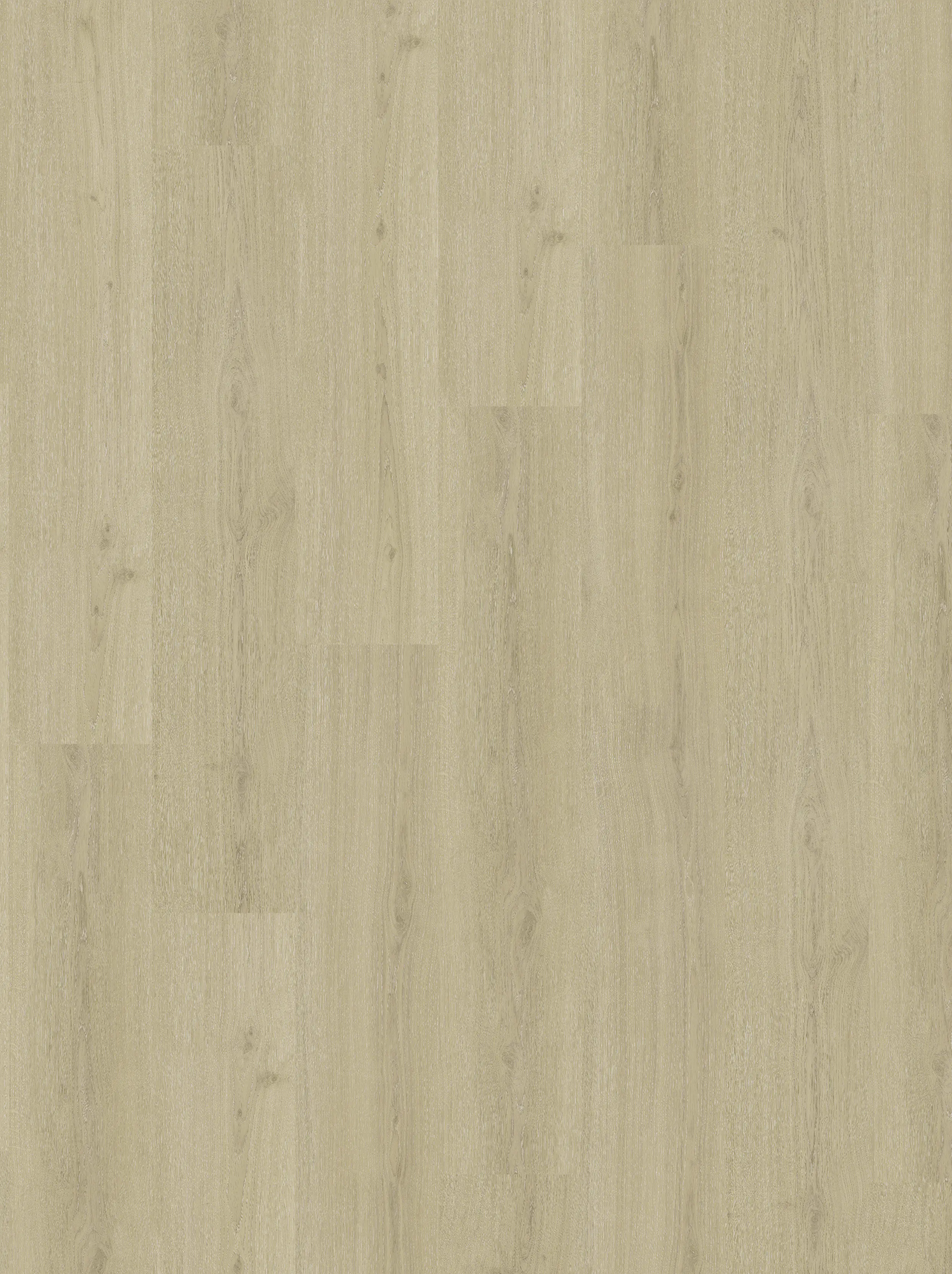 Parador Vinylboden mit Trillschalldämmung Basic 30 Eiche regent beige