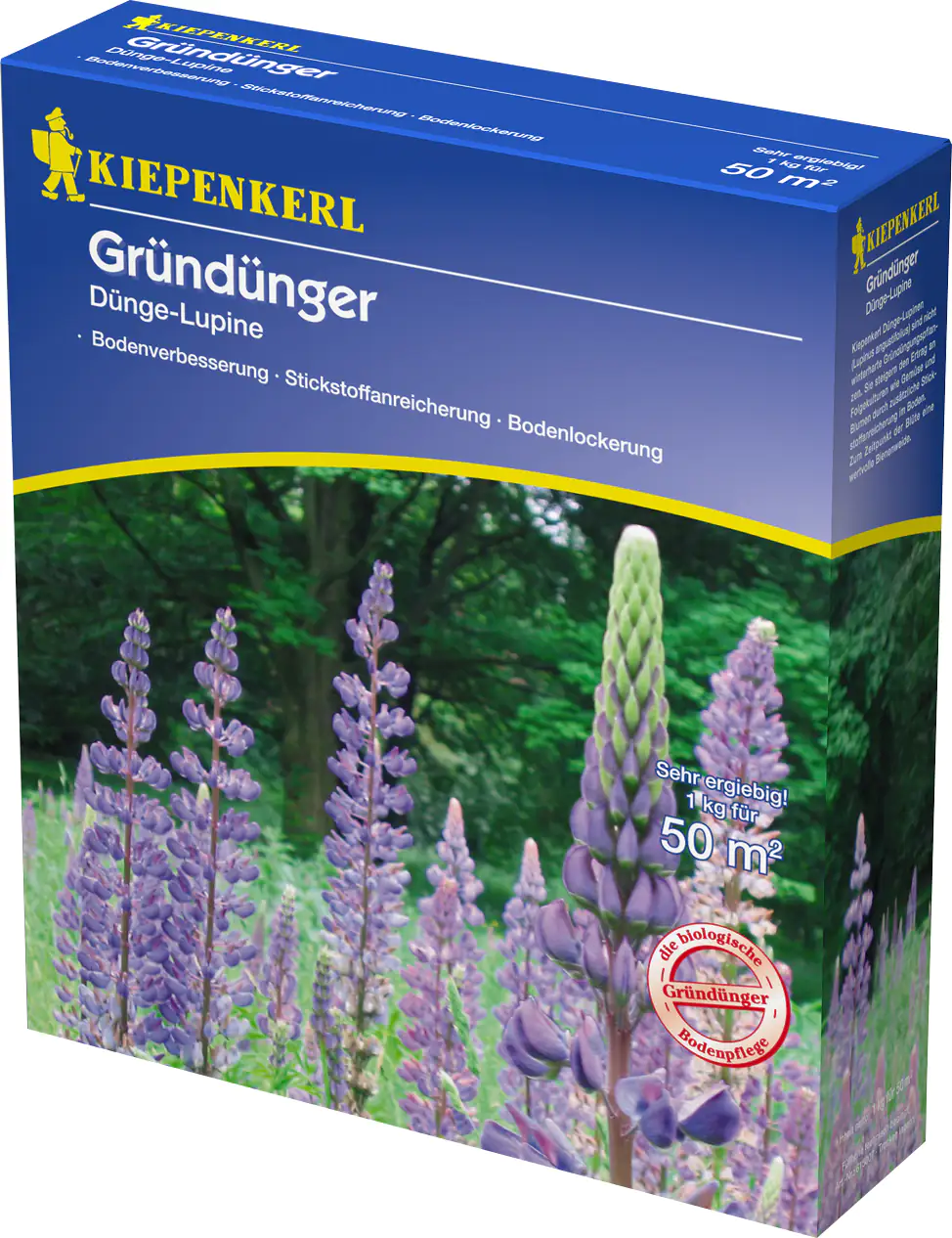 Kiepenkerl Gründünger Düngelupinen Lupinus angustifolius, Inhalt: 1 kg