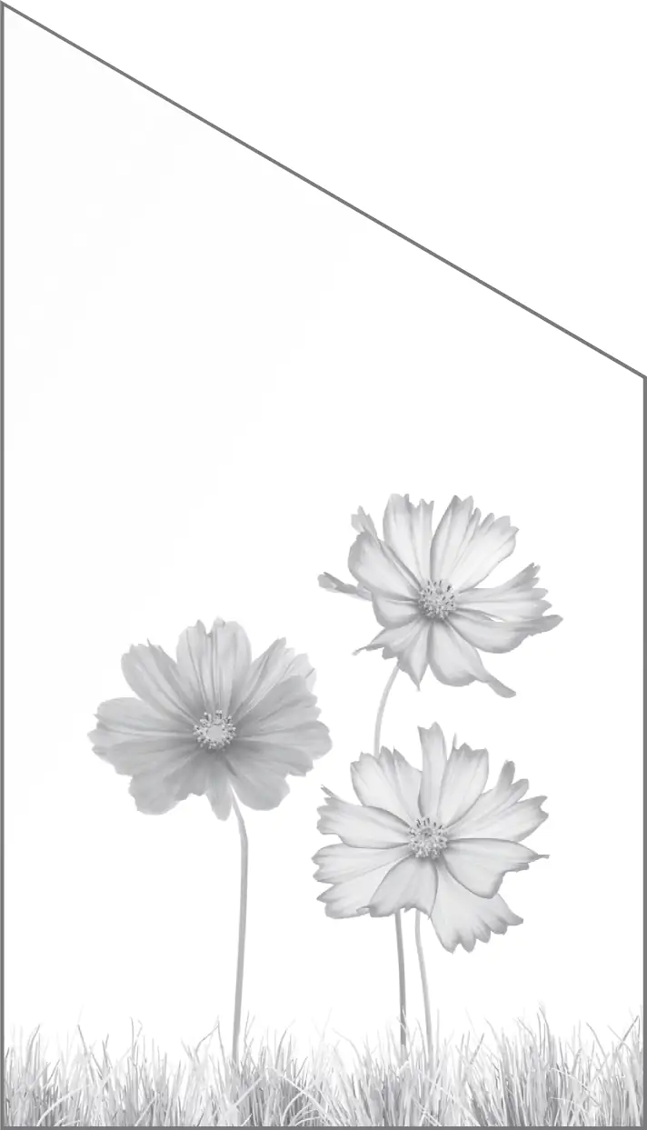 Ambiente Glaszaun Dekor 93 schräg 103 x 180/120 cm gehärtetes 8 mm Glas