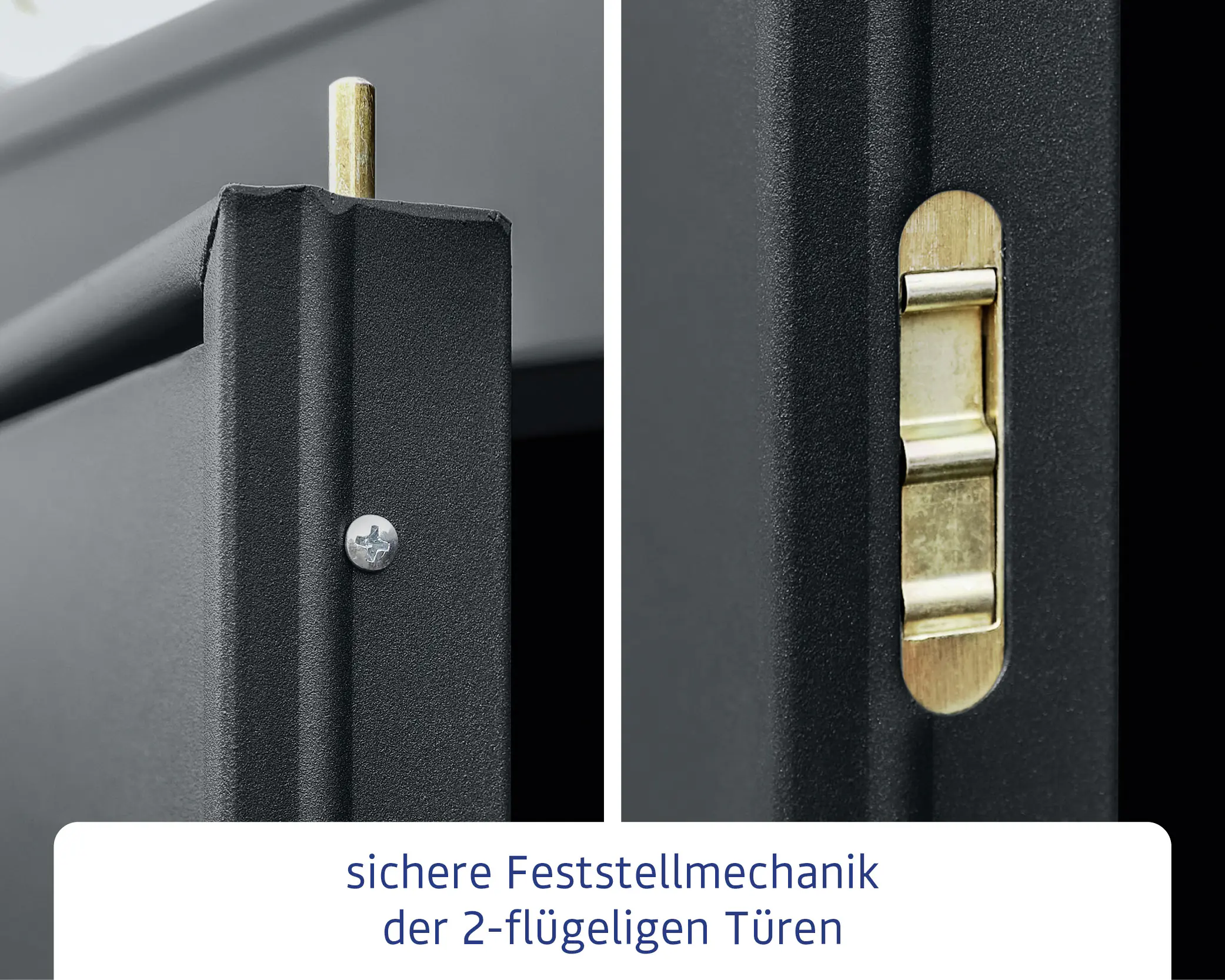 EcoStar Gerätehaus Elegant-P Typ 1 anthrazitgrau 247,9 x 153 x 228,6 cm