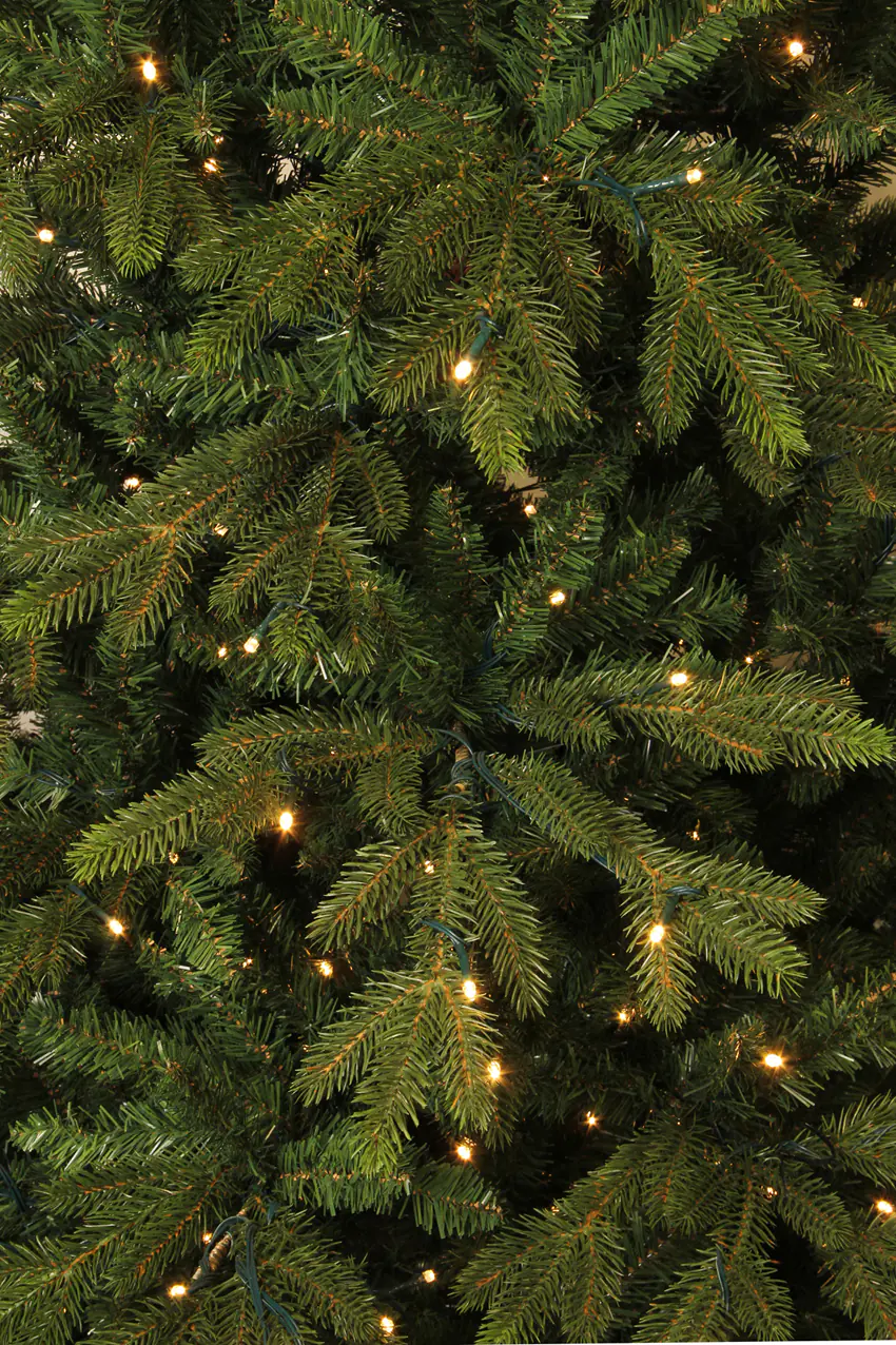 Black Box Trees Weihnachtsbaum Macallan 155 cm grün mit LED