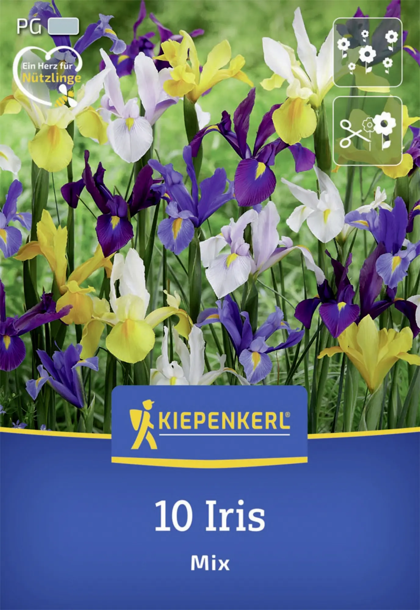 Kiepenkerl Herbstblumenzwiebel Holländische Schwertlilien Mischung 10 Stück