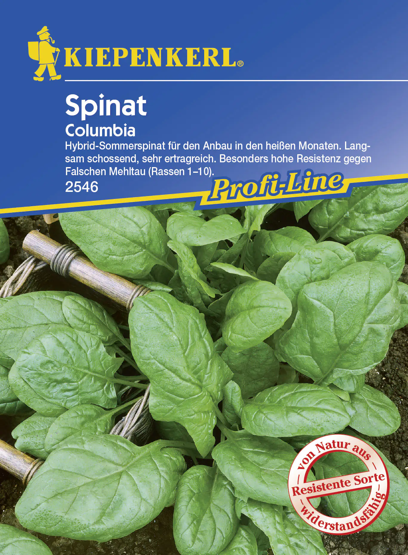 Kiepenkerl Spinat Columbia Spinacia oleracea, Inhalt: 6 Ifd. Meter