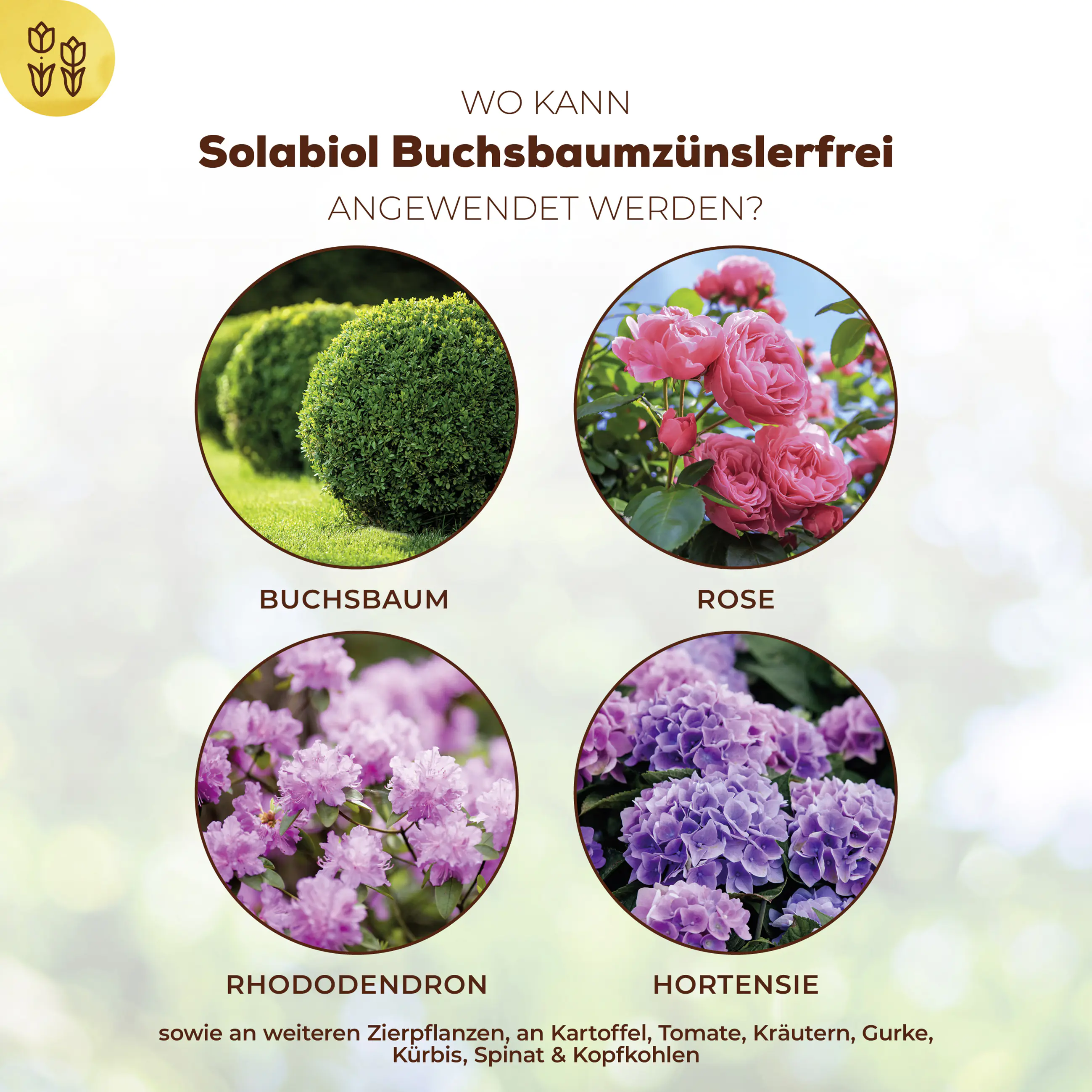 Solabiol Buchsbaumzünslerfrei 50 ml