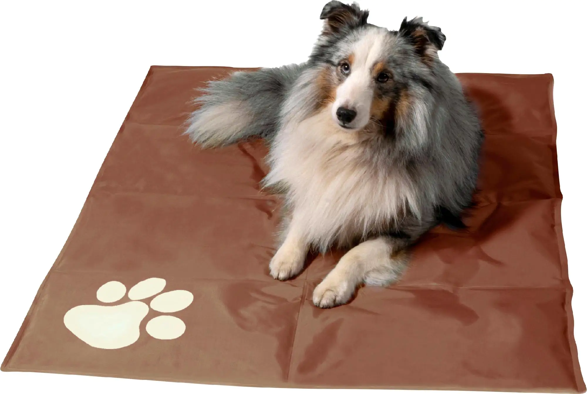 Dobar Kühlmatte mit Pfote eckig L 99,5 x B 70 cm braun/beige