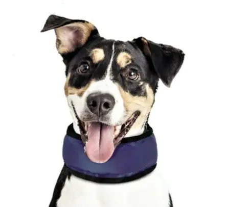 Nobby Kühlband Cooling Loop für Hunde