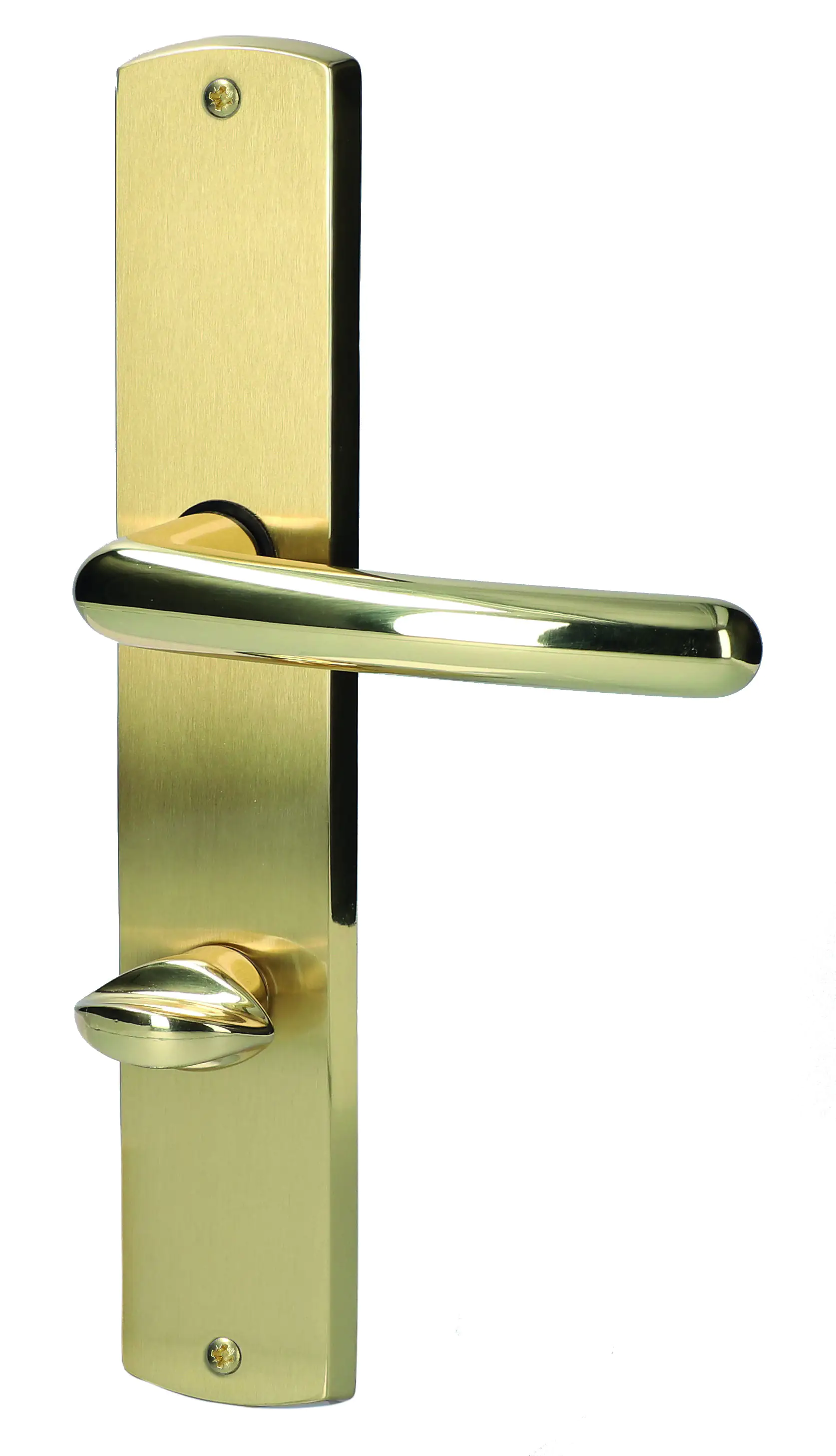 Alpertec WC-Langschildgarnitur Isabella Messing gold abgerundet