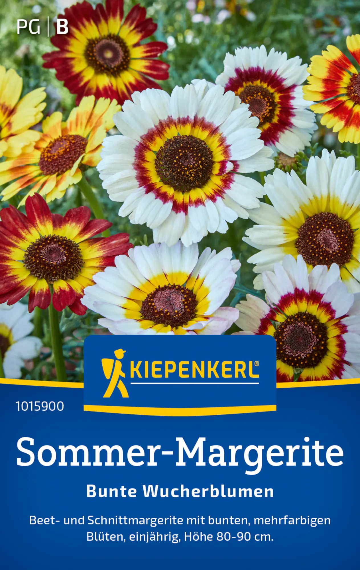 Kiepenkerl Blumensamen Sommer-Margeriten Bunte Wucherblumen für ca. 100 Pflanzen