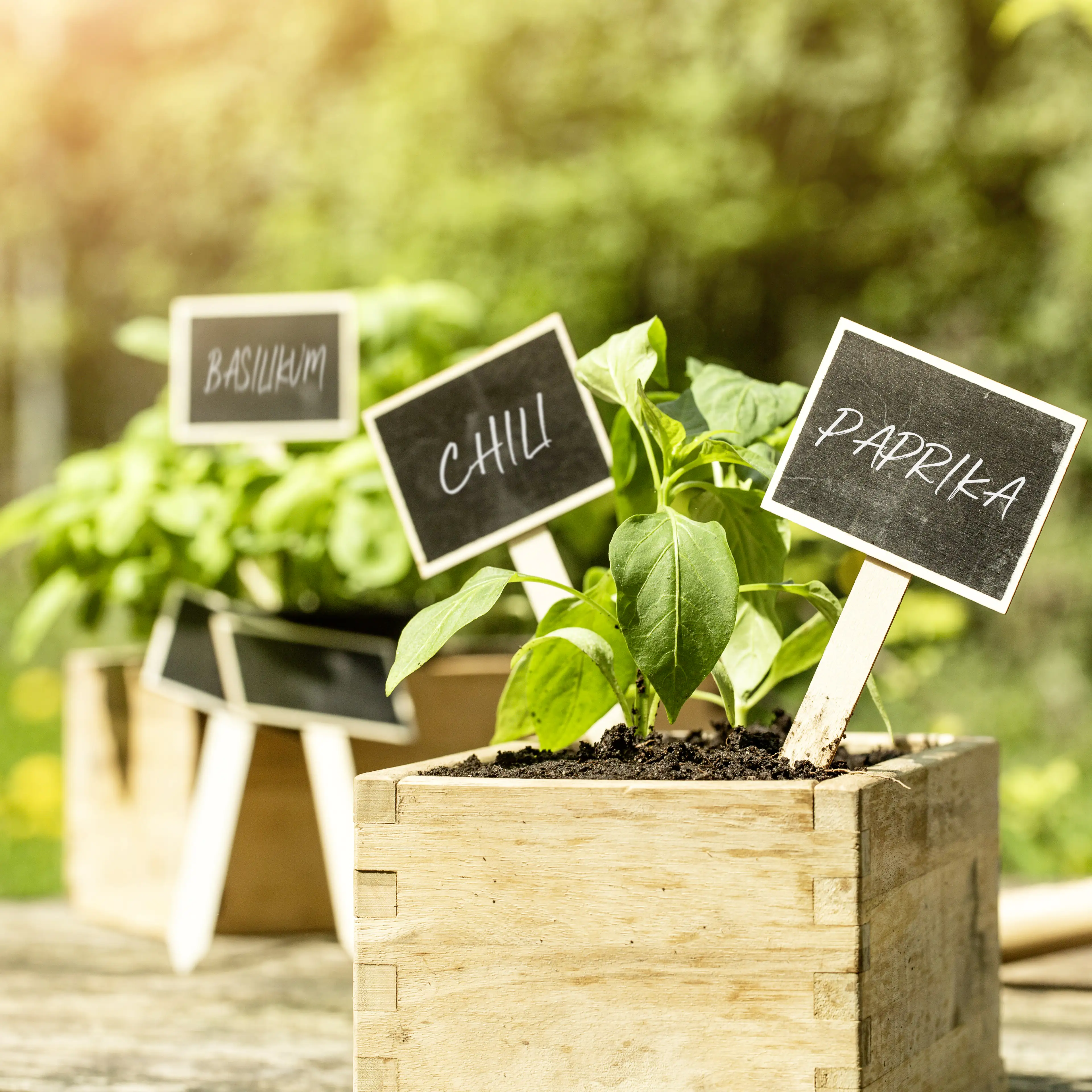 Windhager Stecketiketten Kreidetafel 7,5 x 17,5 cm, 10 Stück