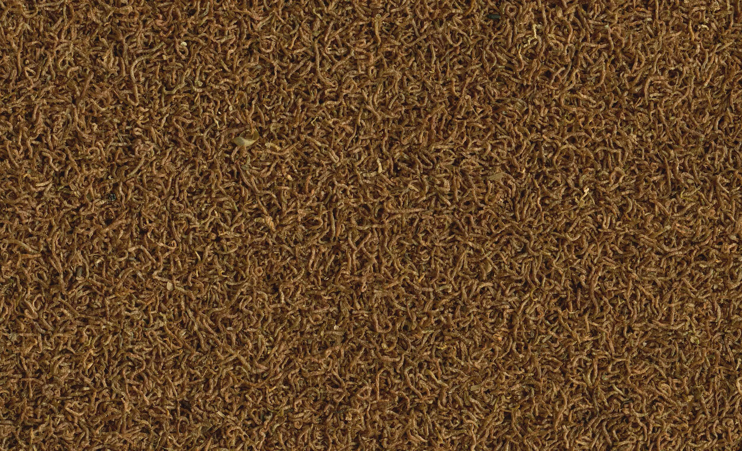 Tetra Delica Mückenlarven 100 ml