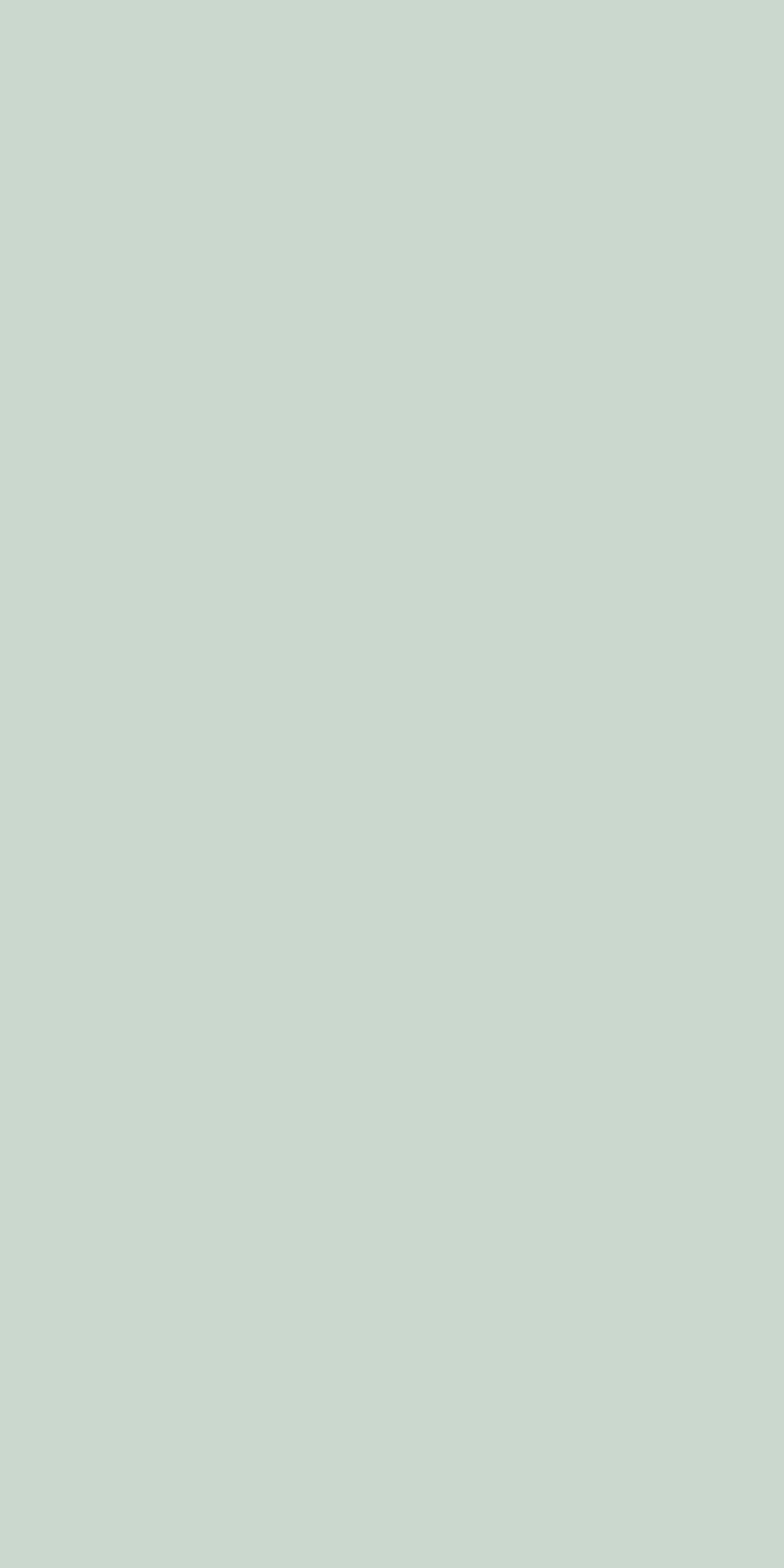 Wetwall Alloy Wandpaneel  Terra Grey/Seabreeze Green 60 x 244 cm