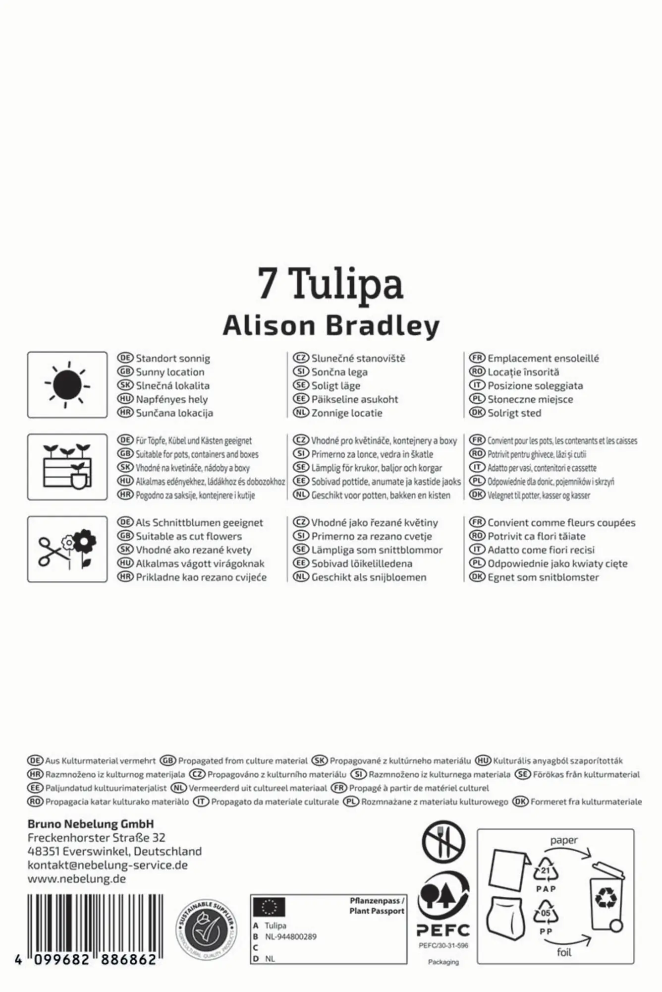 Kiepenkerl Herbstblumenzwiebel Tulpen Alison Bradley 7 Stück