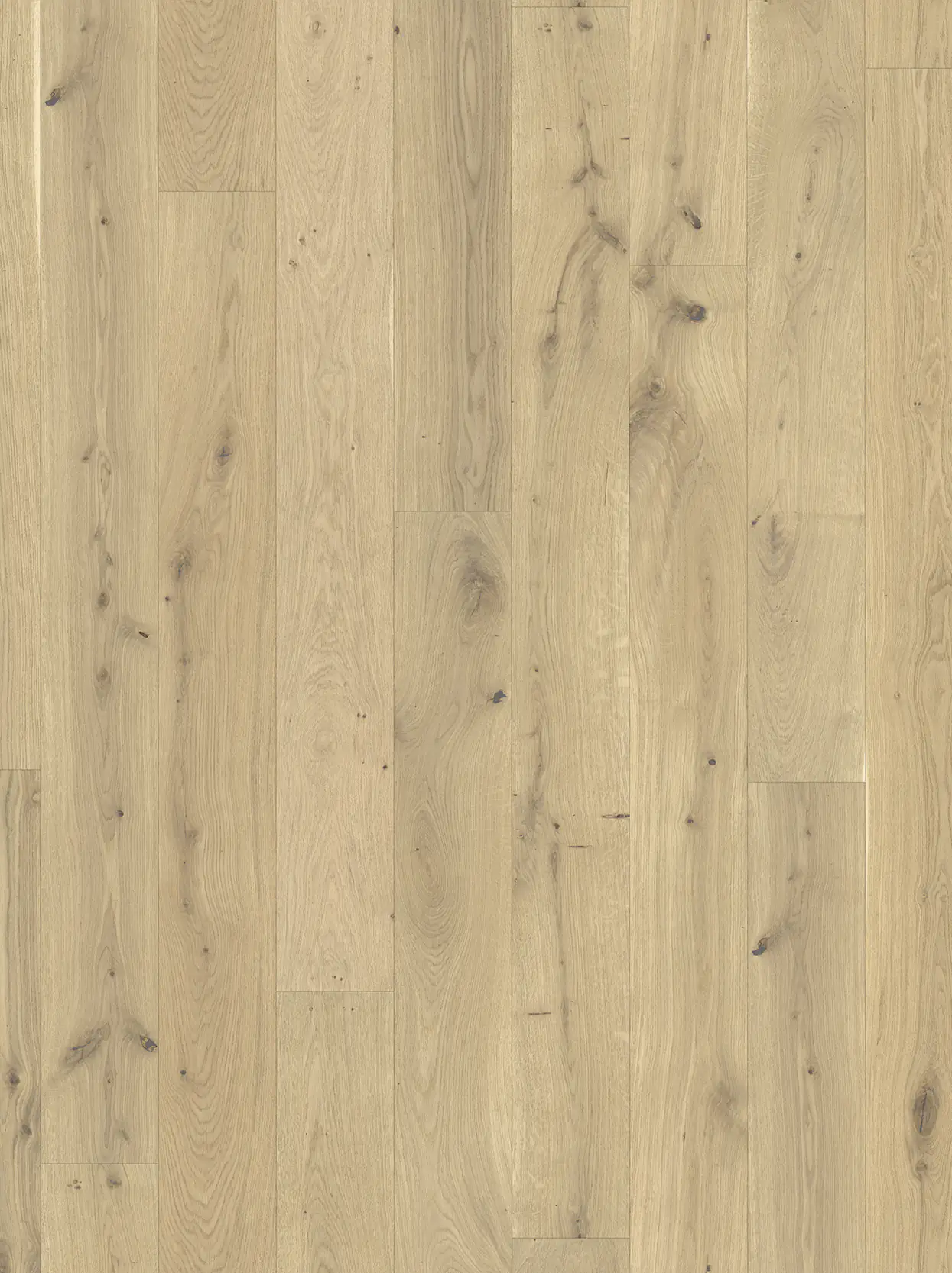 Parador Parkett Basic 11-5 Rustikal Eiche gebürstet naturgeölt weiß