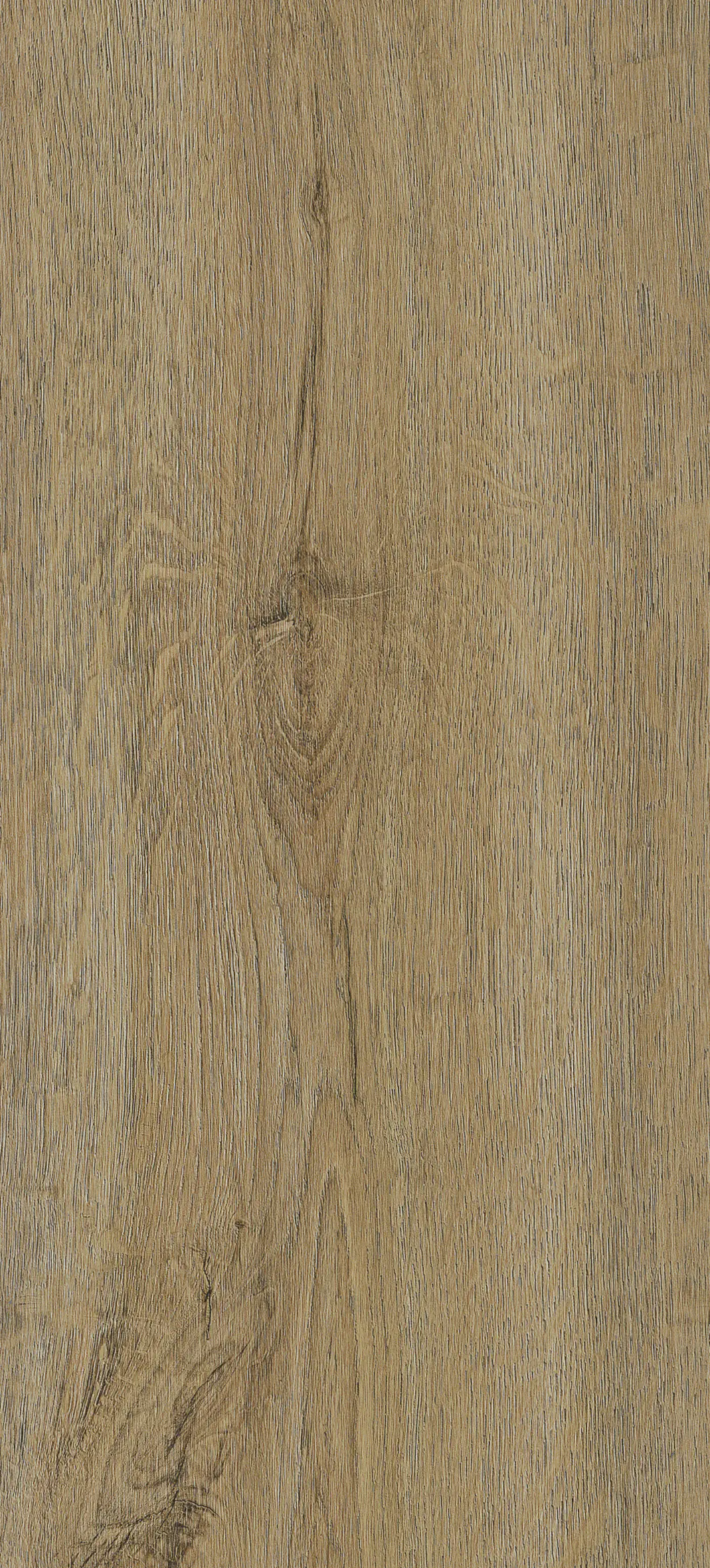 Amorim Corklife Vinylboden mit Trittschalldämmung Golden Rustic Oak