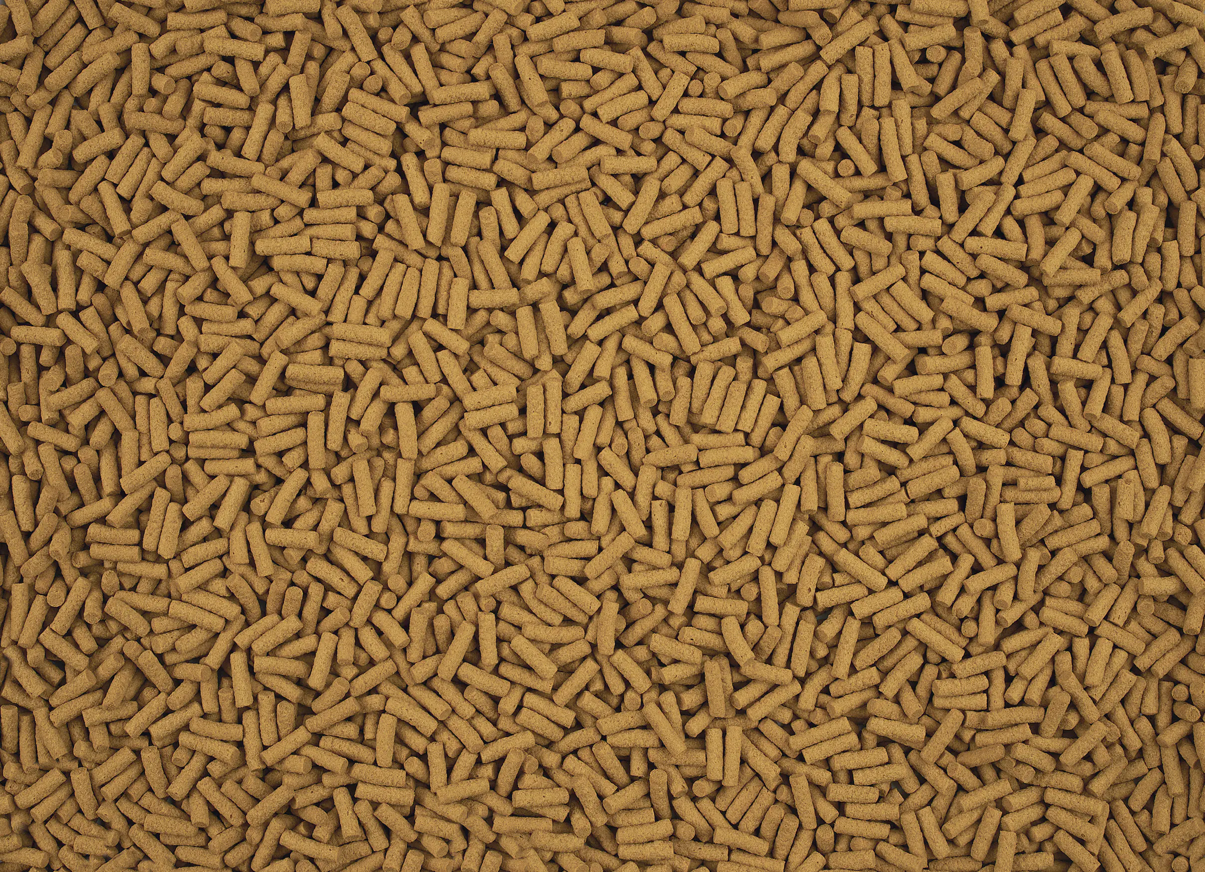 Tetra Zierfischfutter Cichlid Sticks 1 L