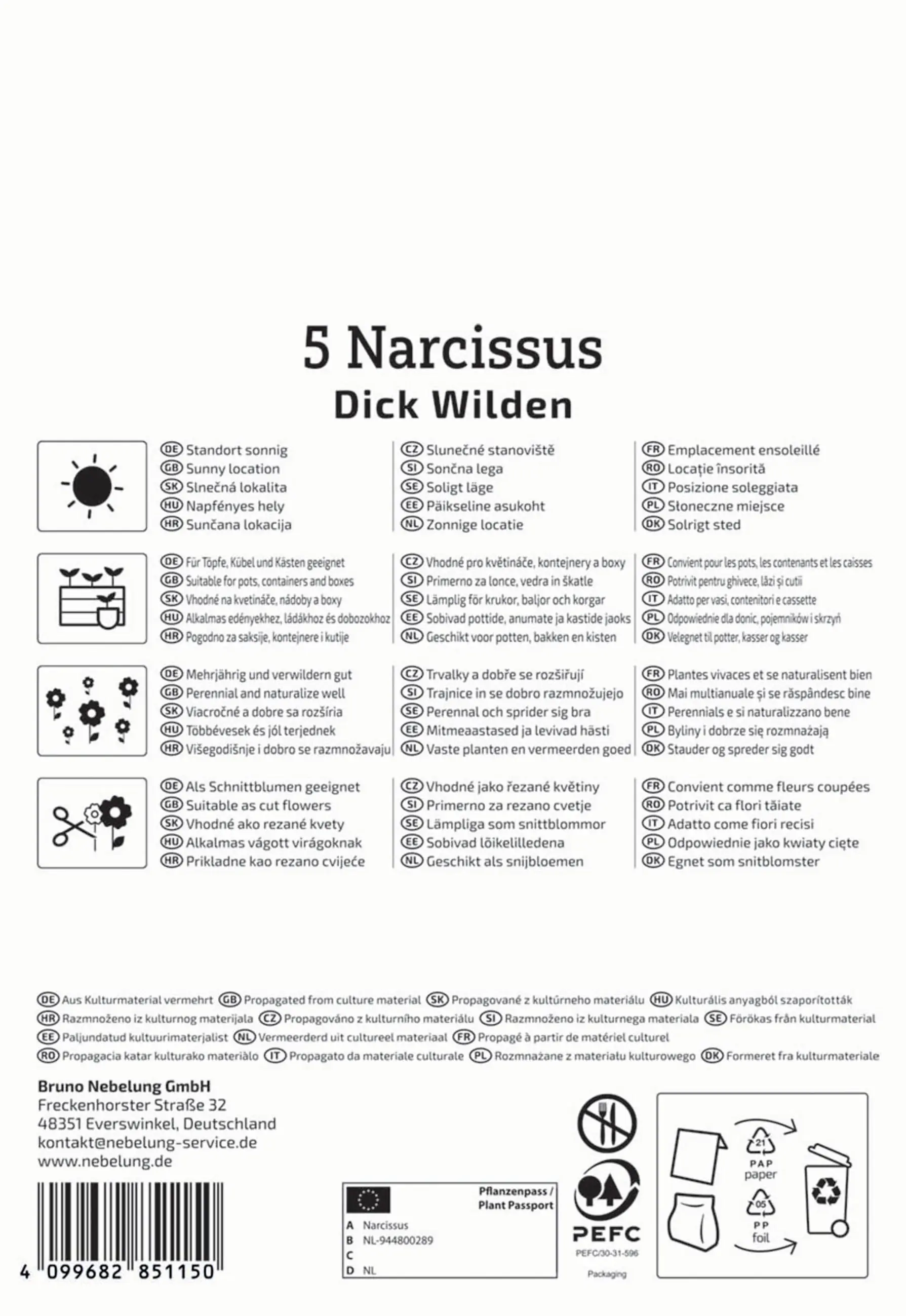 Kiepenkerl Herbstblumenzwiebel Narzisse Dick Wilden 5 Stück