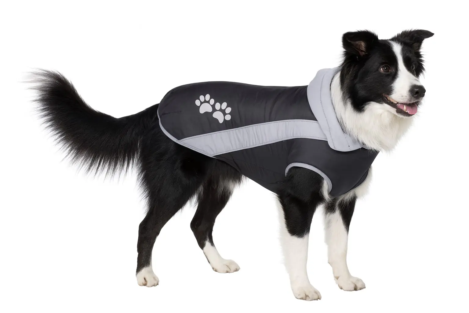 Nobby Hundemantel Sabi Rückenlänge 32 cm, schwarz grau Nobby Hundemantel Sabi Rückenlänge 32 cm, schwarz grau