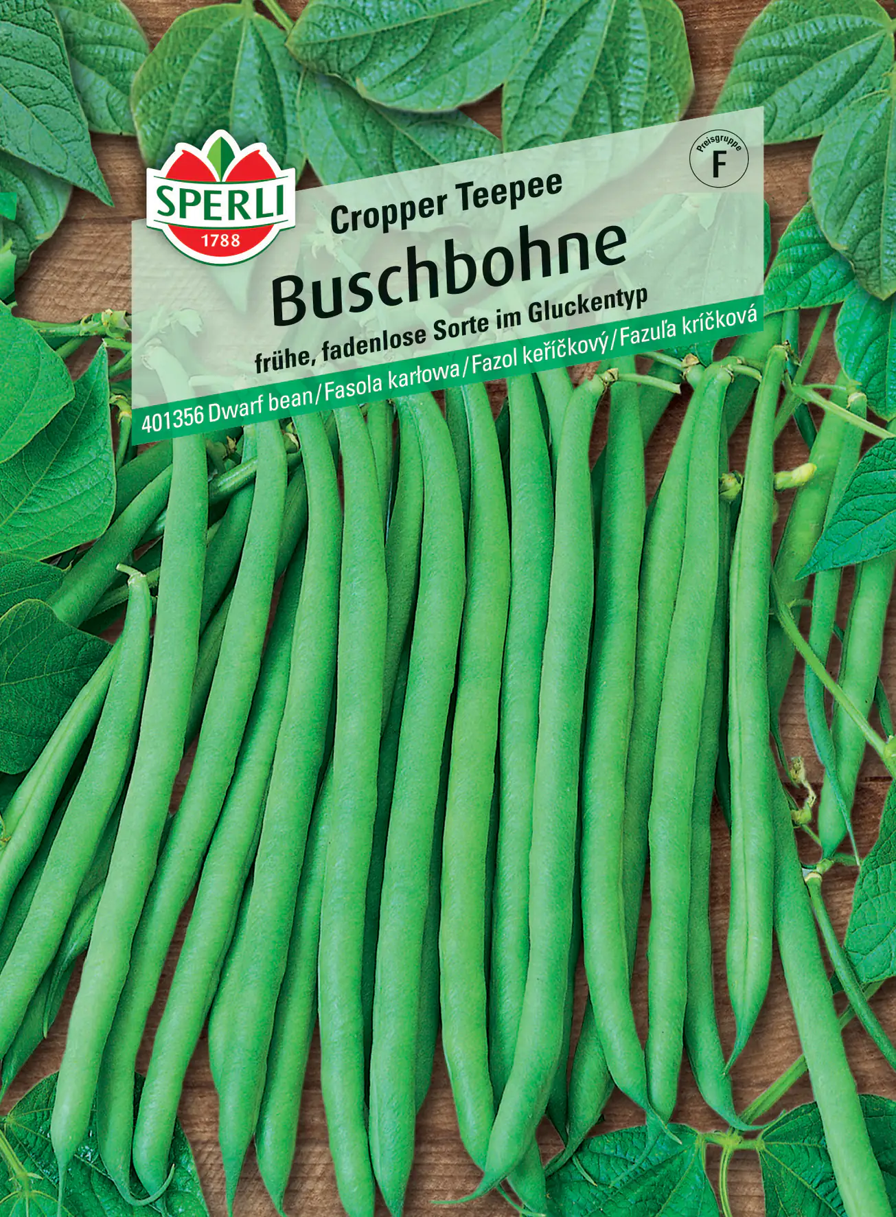 Sperli Buschbohne Cropper Teepee