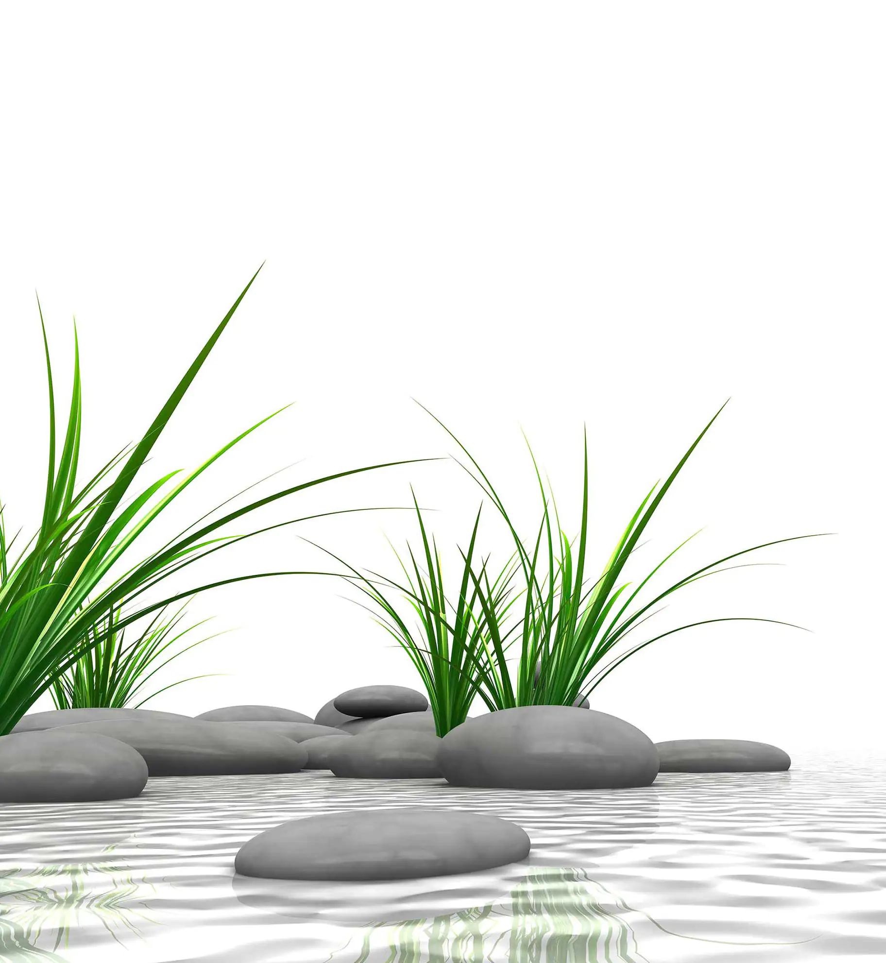 Breuer Duschrückwand Zen & Gras Foto über Eck 90x90x210x0,3 cm Breuer Duschrückwand Zen & Gras Foto über Eck 90x90x210x0,3 cm