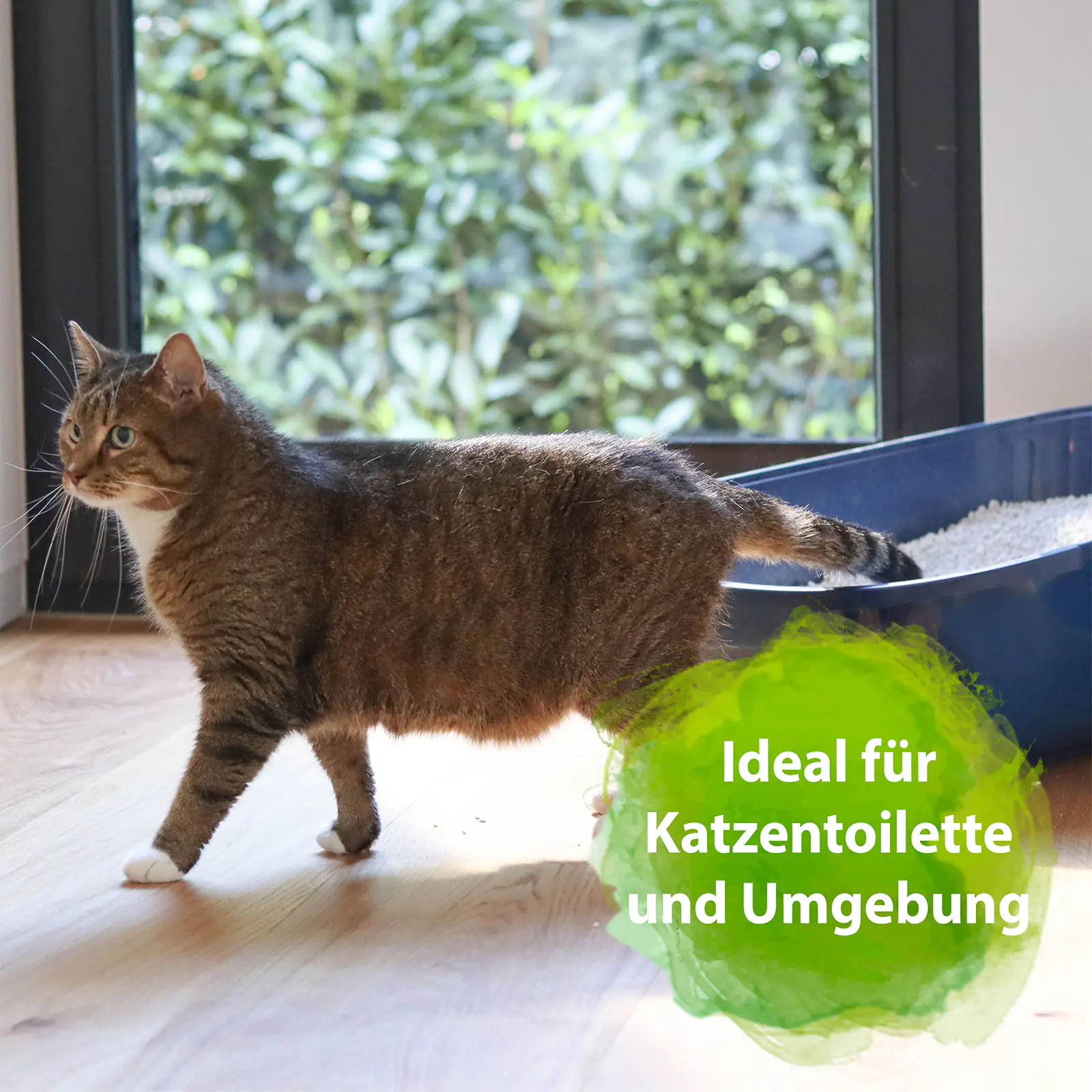 Bactador Katzentoiletten Geruchsentferner 500 ml