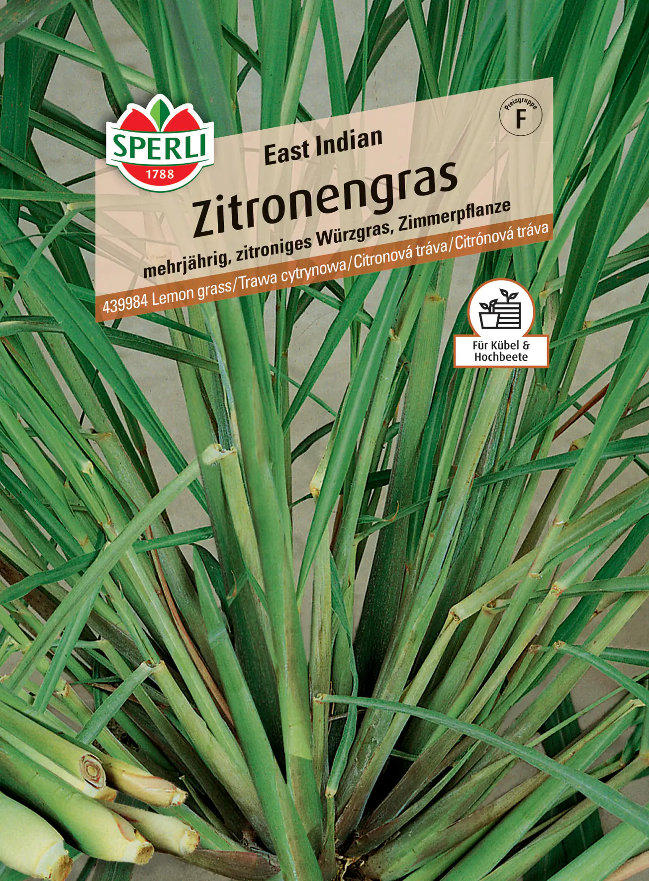 Sperli Zitronengras East Indian Sperli Zitronengras East Indian
