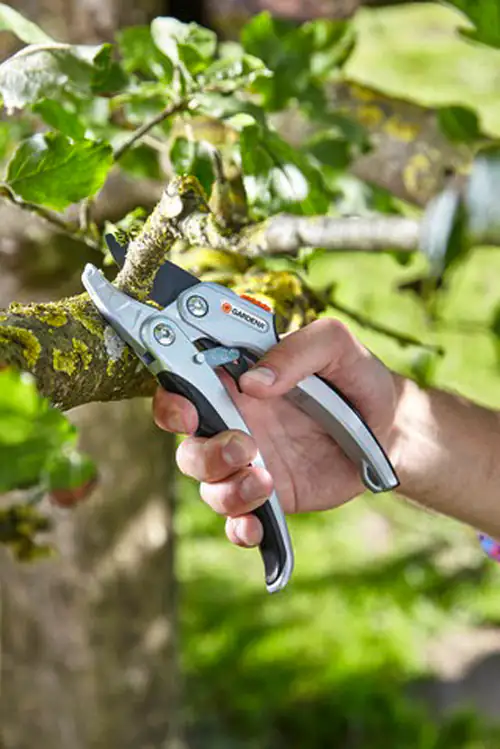 Gardena Comfort Ratschenschere SmartCut bis zu Ø 25 mm Schnittstärke Gardena Comfort Ratschenschere SmartCut bis zu Ø 25 mm Schnittstärke