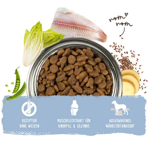 Bosch Trockenfutter für Hunde Adult 1 kg mit Fisch & Kartoffel Bosch Trockenfutter für Hunde Adult 1 kg mit Fisch & Kartoffel