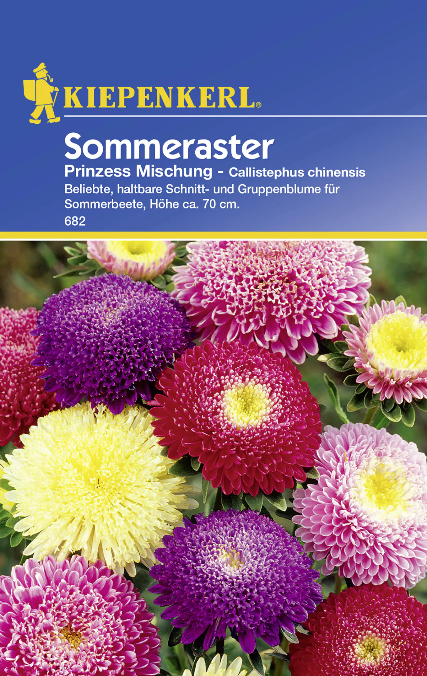 Kiepenkerl Sommeraster Prinzess Mischung Callistephus chinensis, Inhalt: ca. 50 Pflanzen