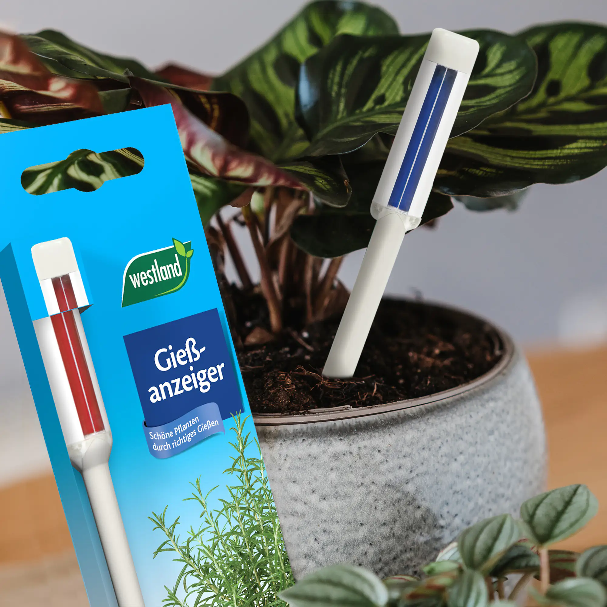 Westland Gießanzeiger groß weiß 26 cm
