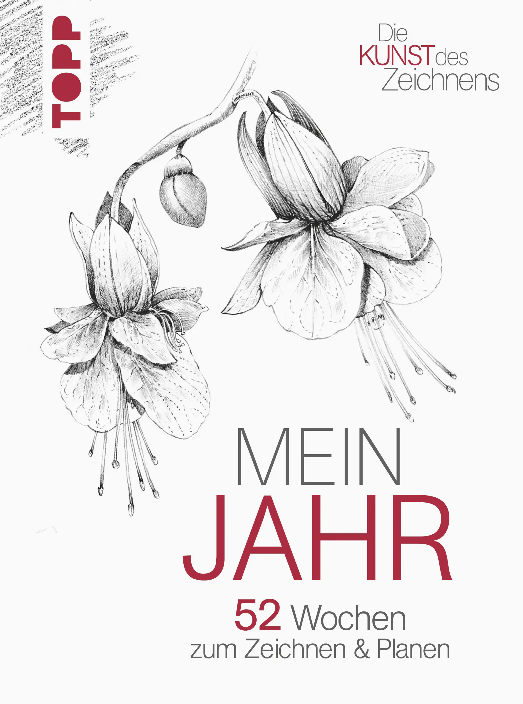 Die Kunst des Zeichnens: Mein Jahr