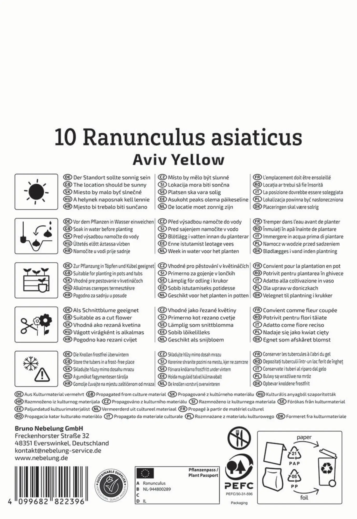 Kiepenkerl Frühjahrsblumenzwiebel Ranunkeln Aviv Gelb 10 Stück