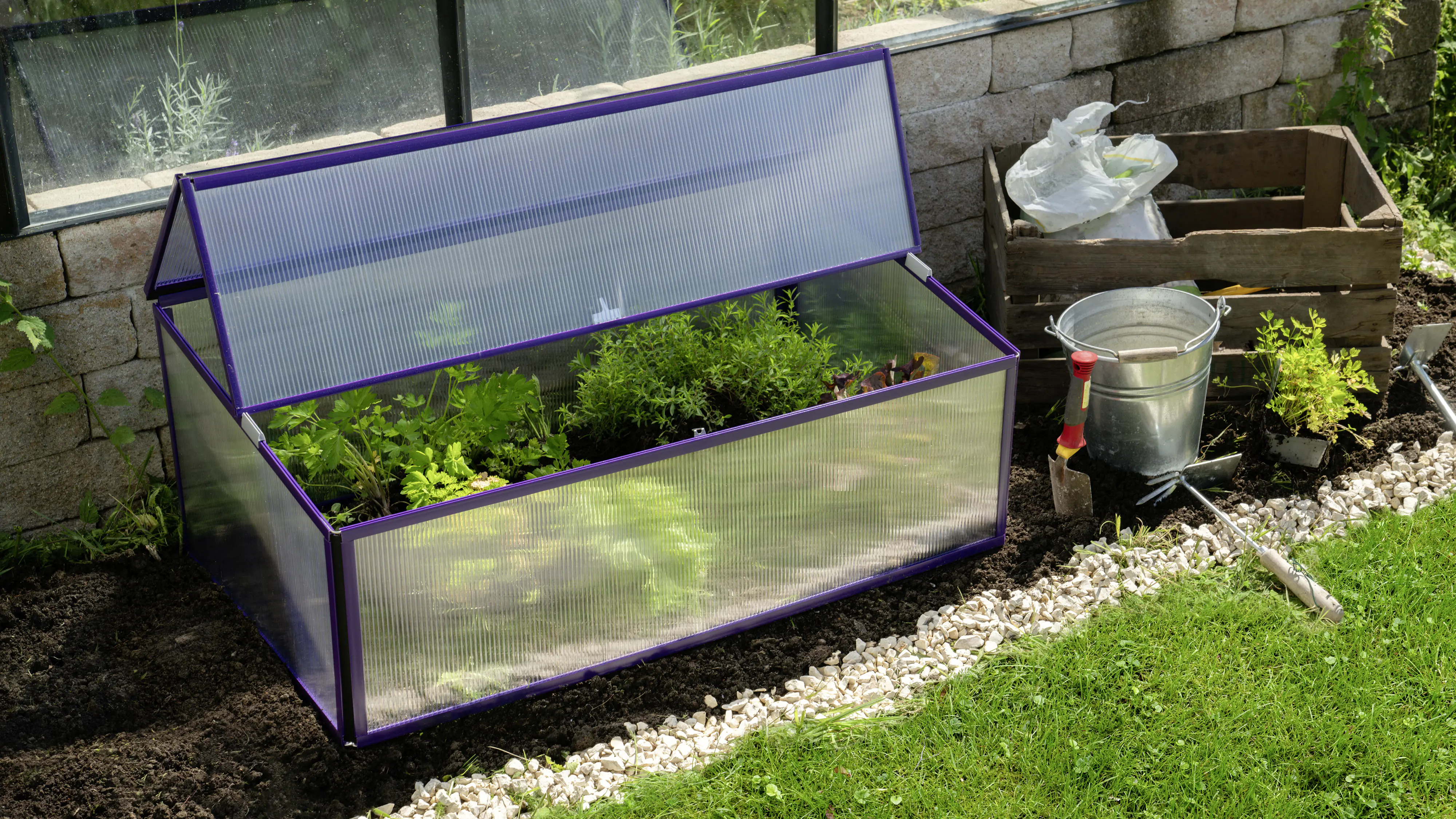 Vitavia Frühbeet Levana 1 57 x 98 cm feige Vitavia Frühbeet Levana 1 57 x 98 cm feige