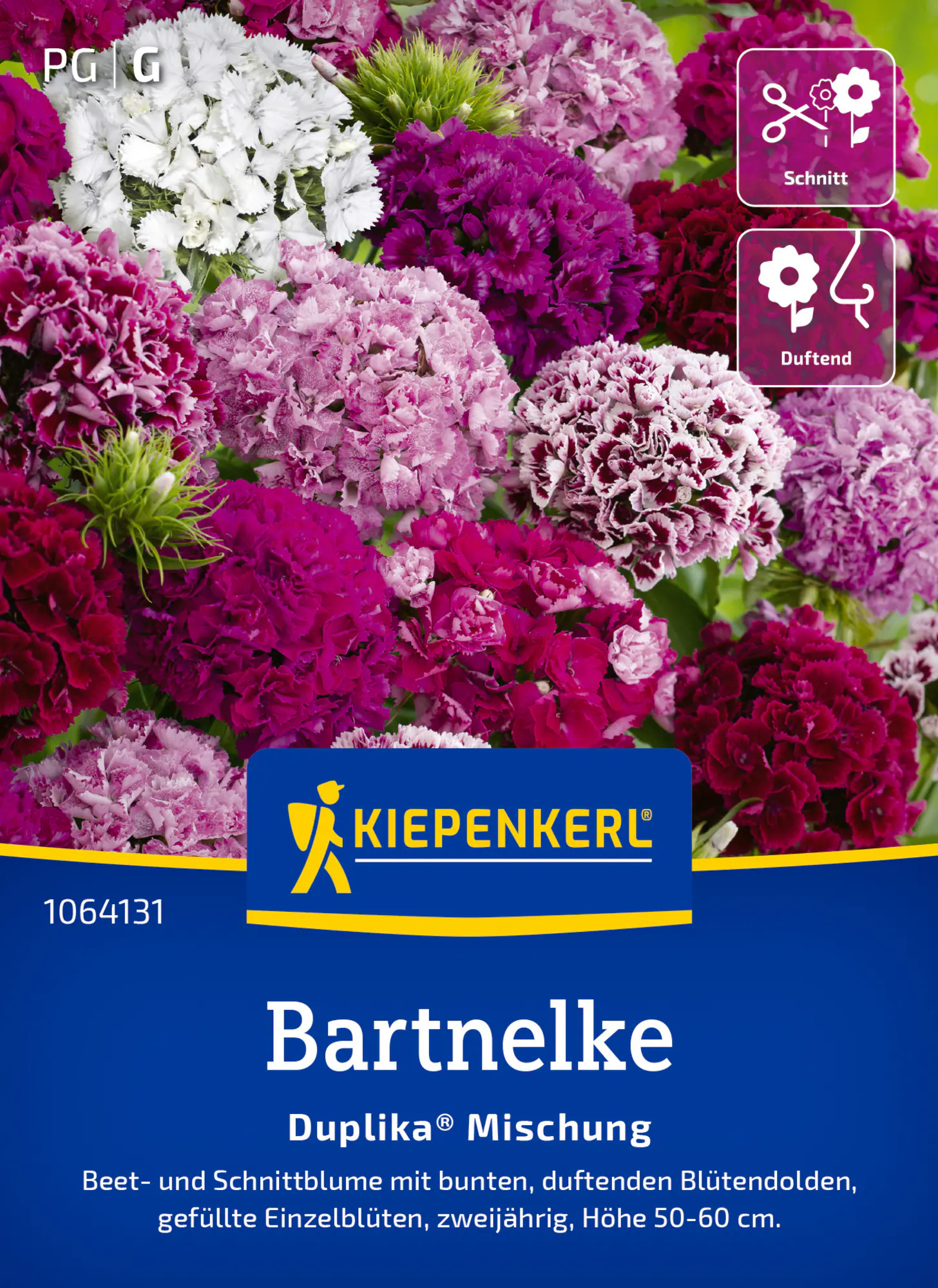 Kiepenkerl Blumensamen Bartnelke Mischung für ca. 60 Pflanzen