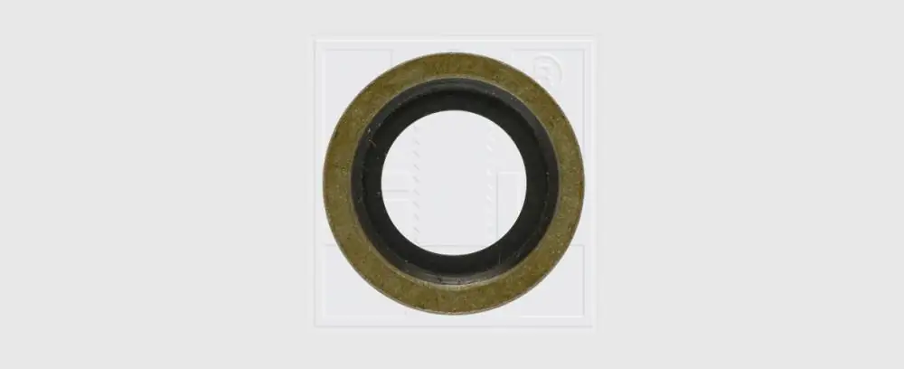 SWG Dichtring Ford 16x24x1,5 2 Stück