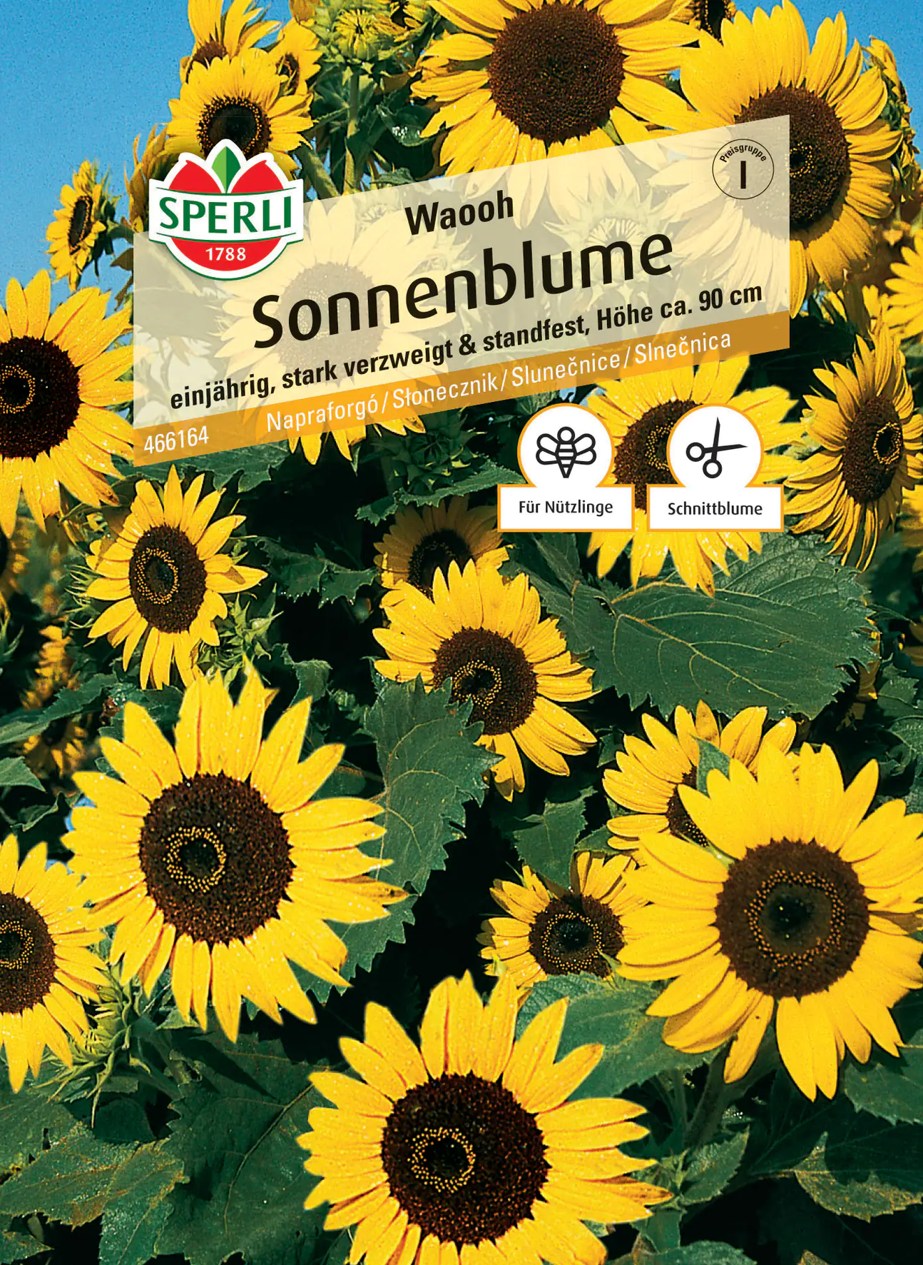Sperli Sonnenblume Waooh
