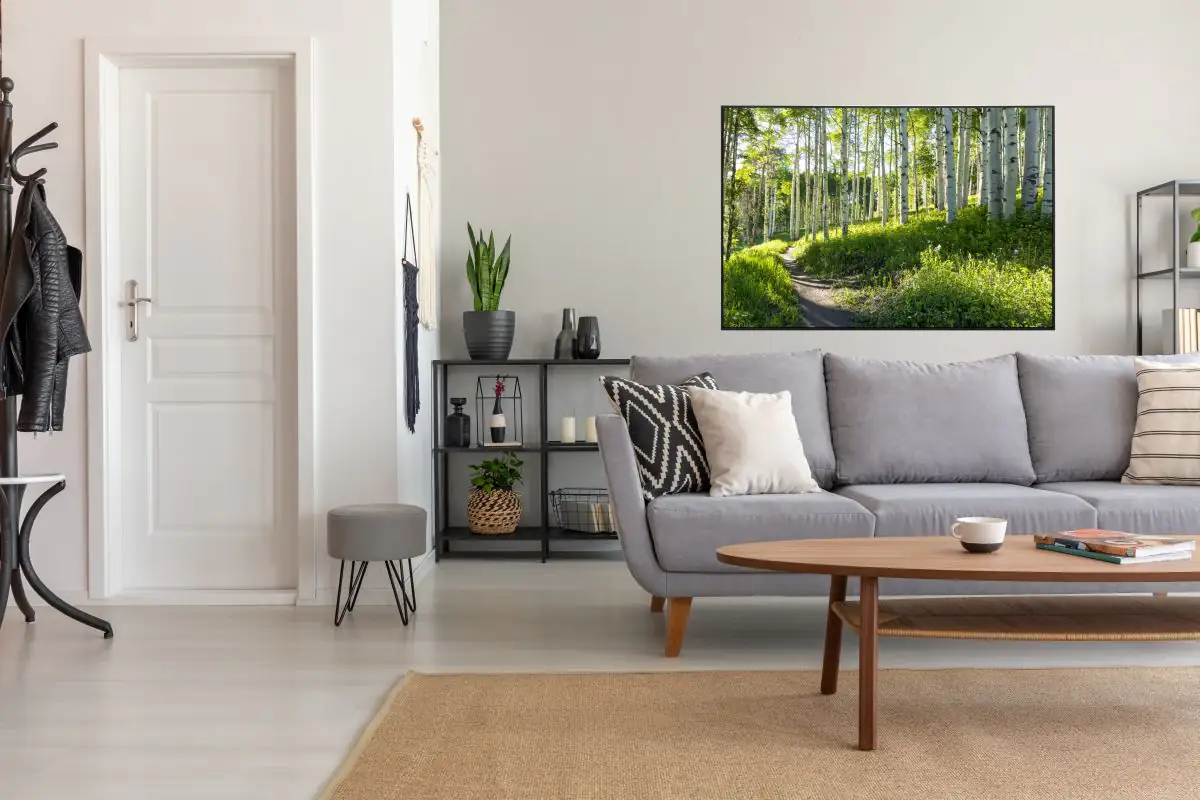 papermoon Infrarotheizkörper EcoHeat 60X100 cm 600 Watt, Birken Wald