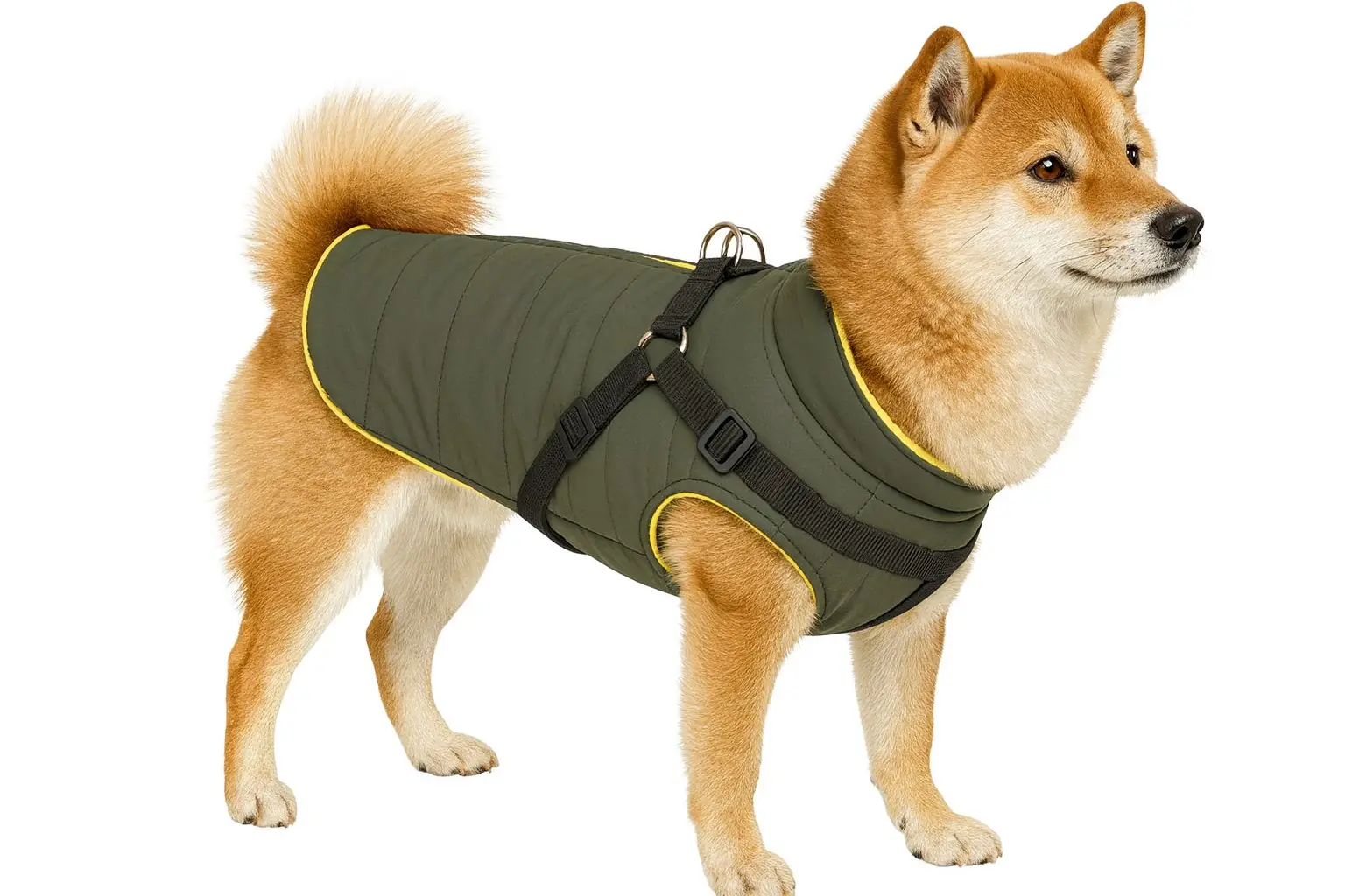 Nobby Hundemantel Sobak 2in1 oliv-gelb Nobby Hundemantel Sobak 2in1 oliv-gelb