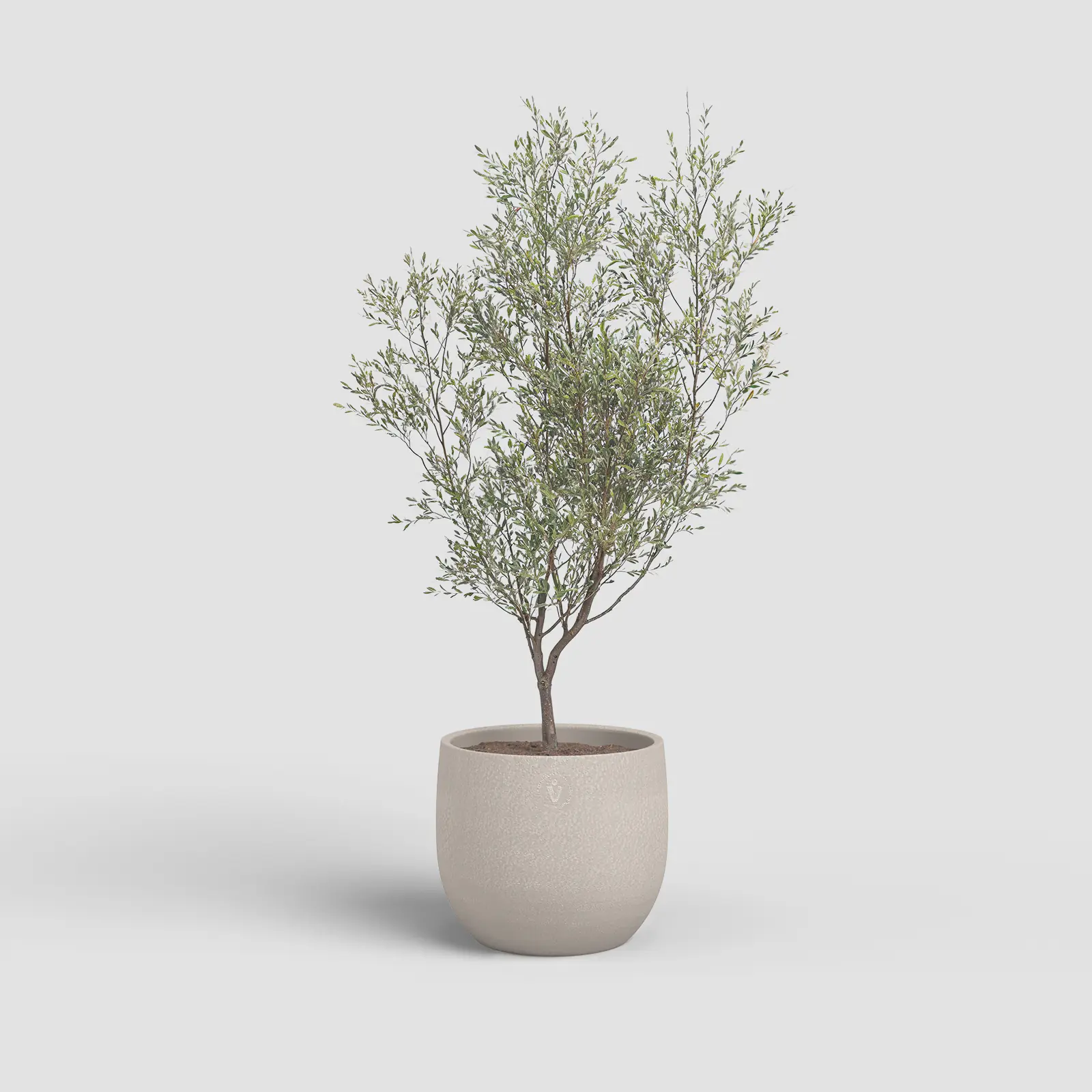 Artevasi Übertopf Selene Keramik Ø 37 x 37 cm creme