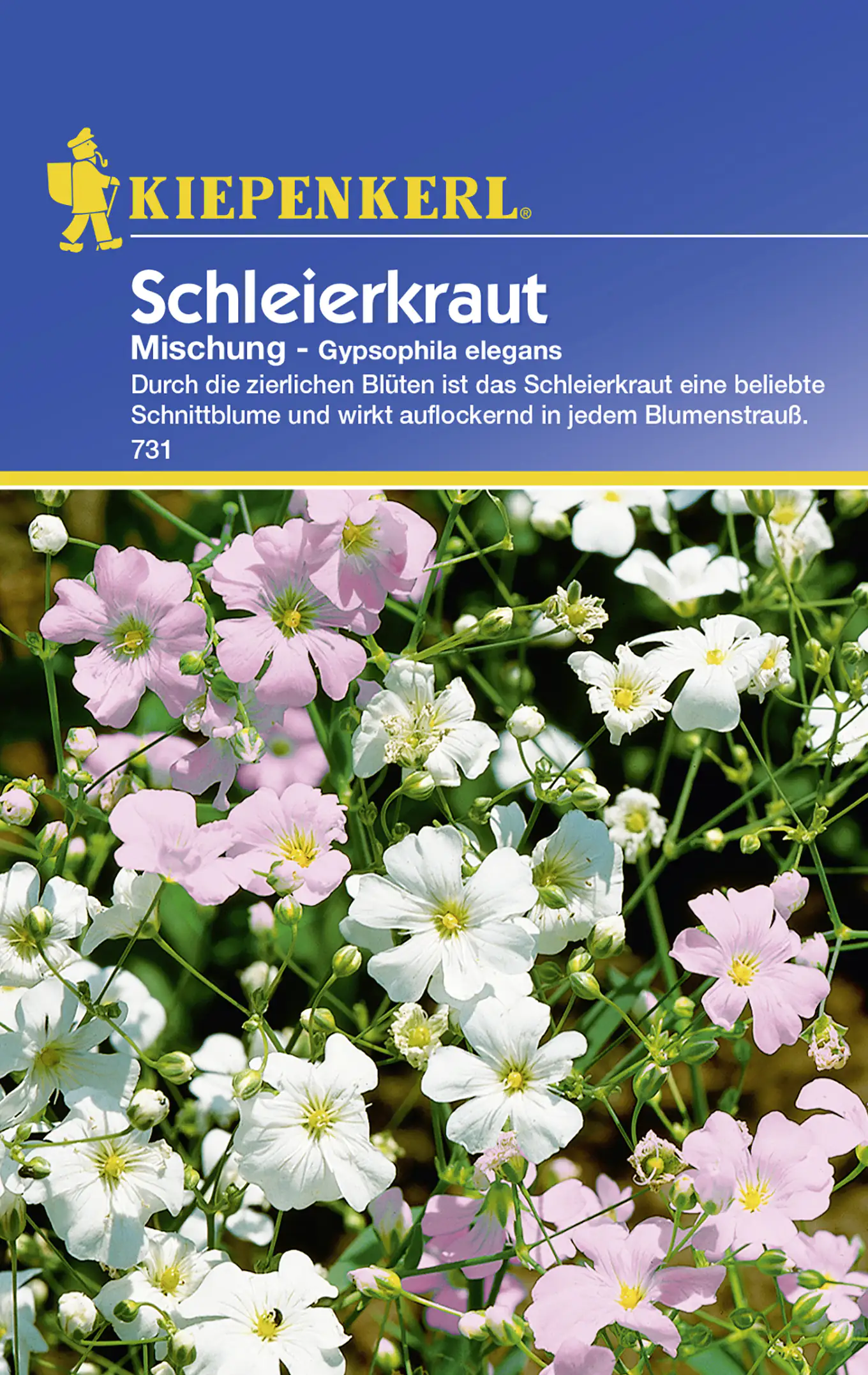 Kiepenkerl Schleierkraut Mischung Gypsophila elegans, Inhalt: ca. 75 Pflanzen