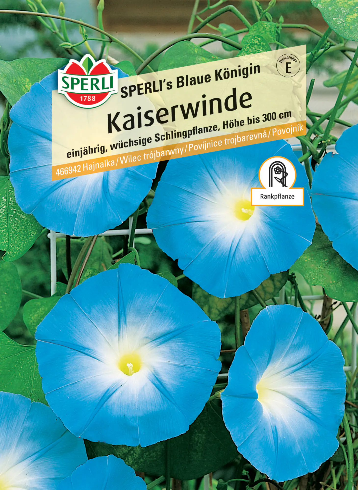 Sperli Kaiserwinde Sperli's Blaue Königin