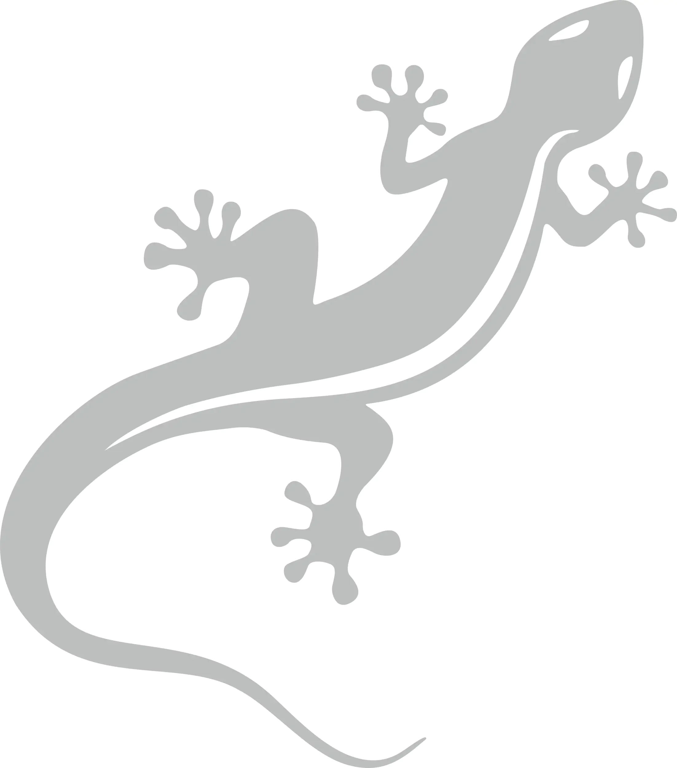 Hermann Schütz Aufkleber Gecko silber 115x95mm