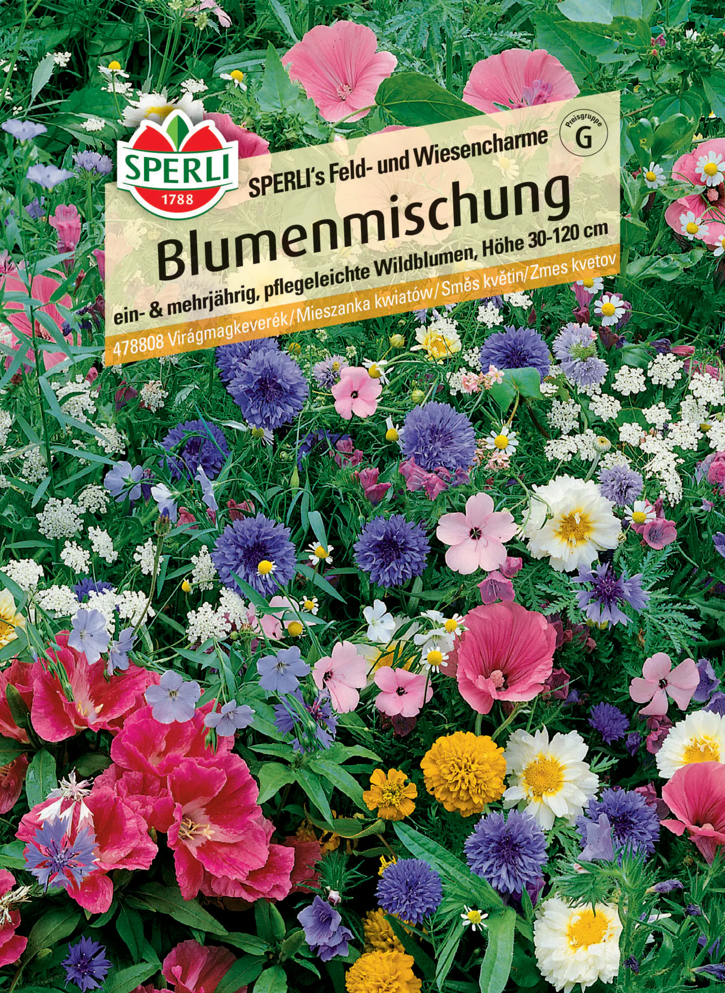 Sperli Blumenmischung Feld- und Wiesencharme