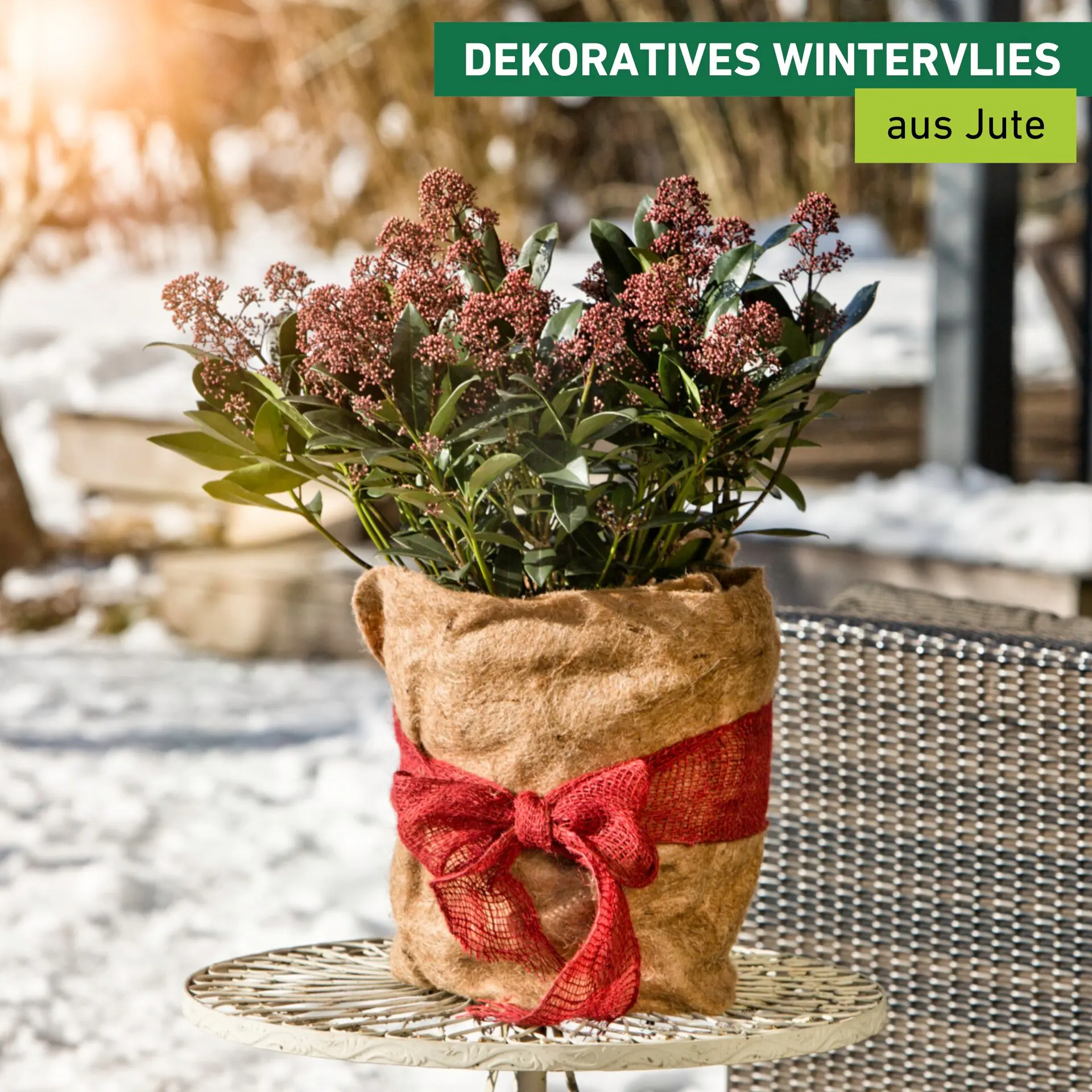 Windhager Winterschutz Vliesmatte Jute 0,5 x 4 m natur