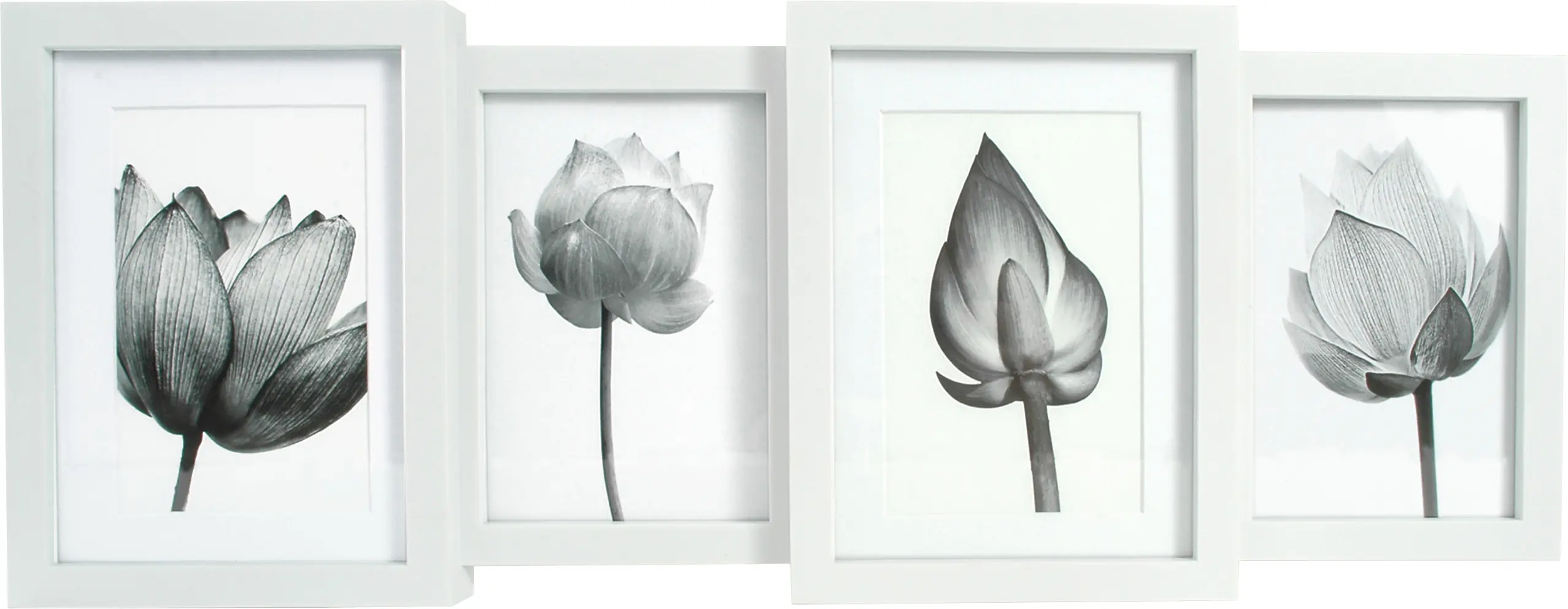 Bilderrahmen Collage Multi Classic Case weiß 55 x 20,8 cm - 4 Fotos