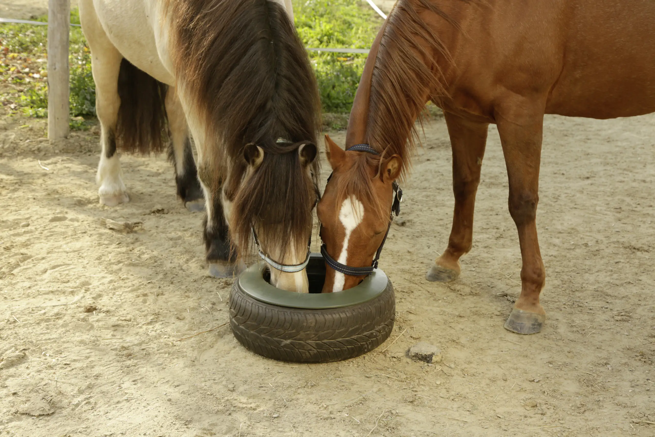 Kerbl Reifentrog 15 Liter Kerbl Reifentrog 15 Liter