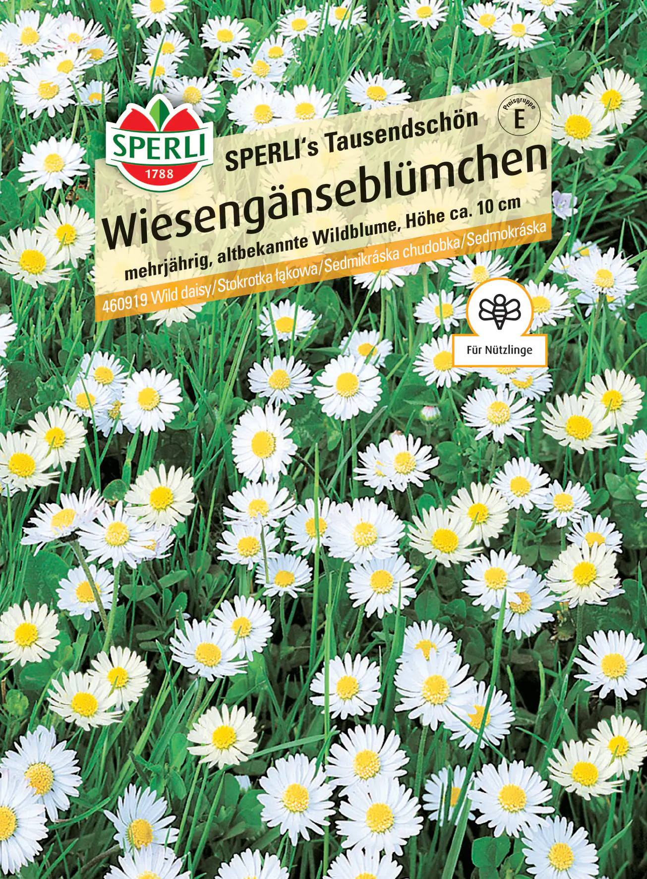 Sperli Wiesengänseblümchen SPERLI's Tausendschön