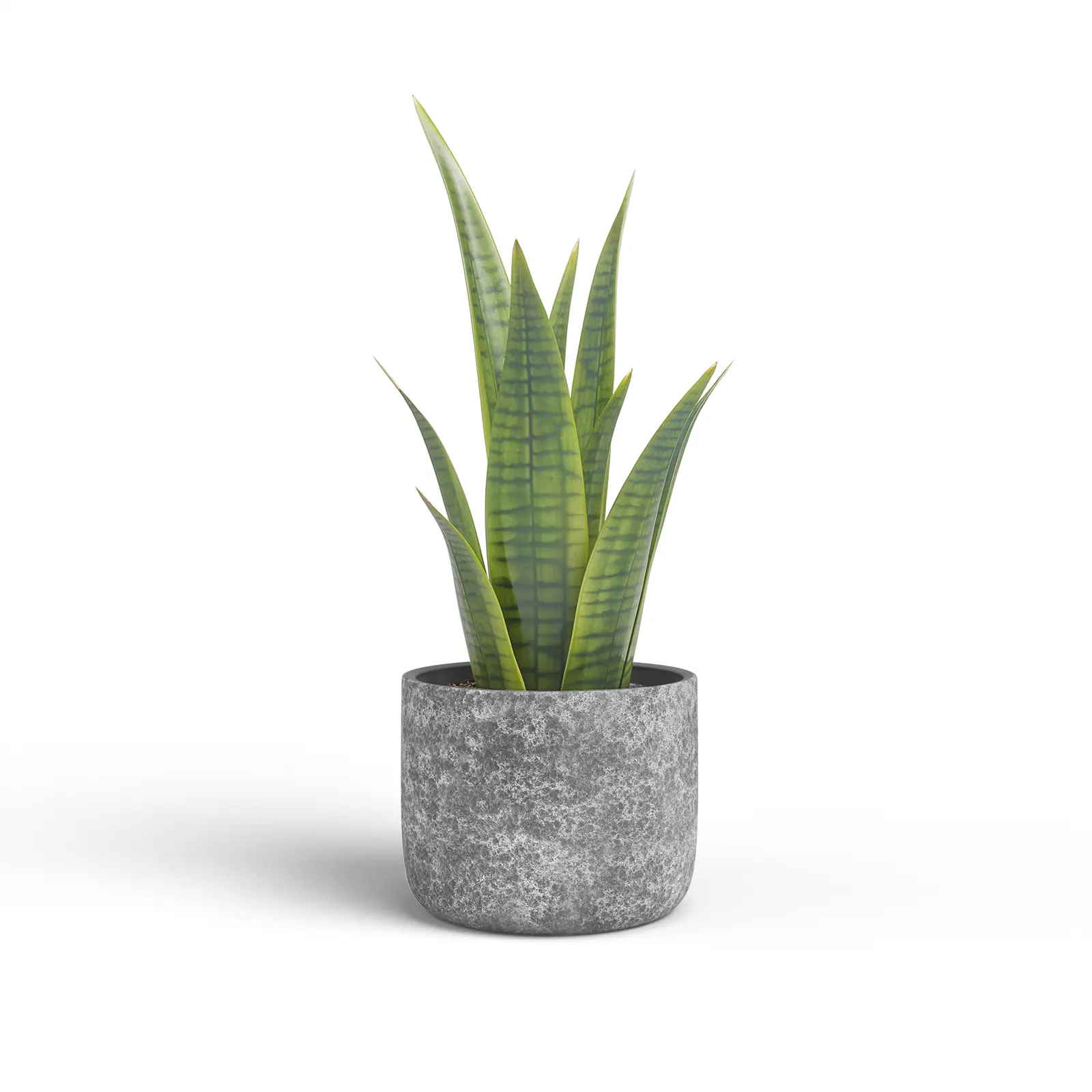 Artevasi Übertopf Cassia Keramik Ø 21 x 18 cm anthrazit