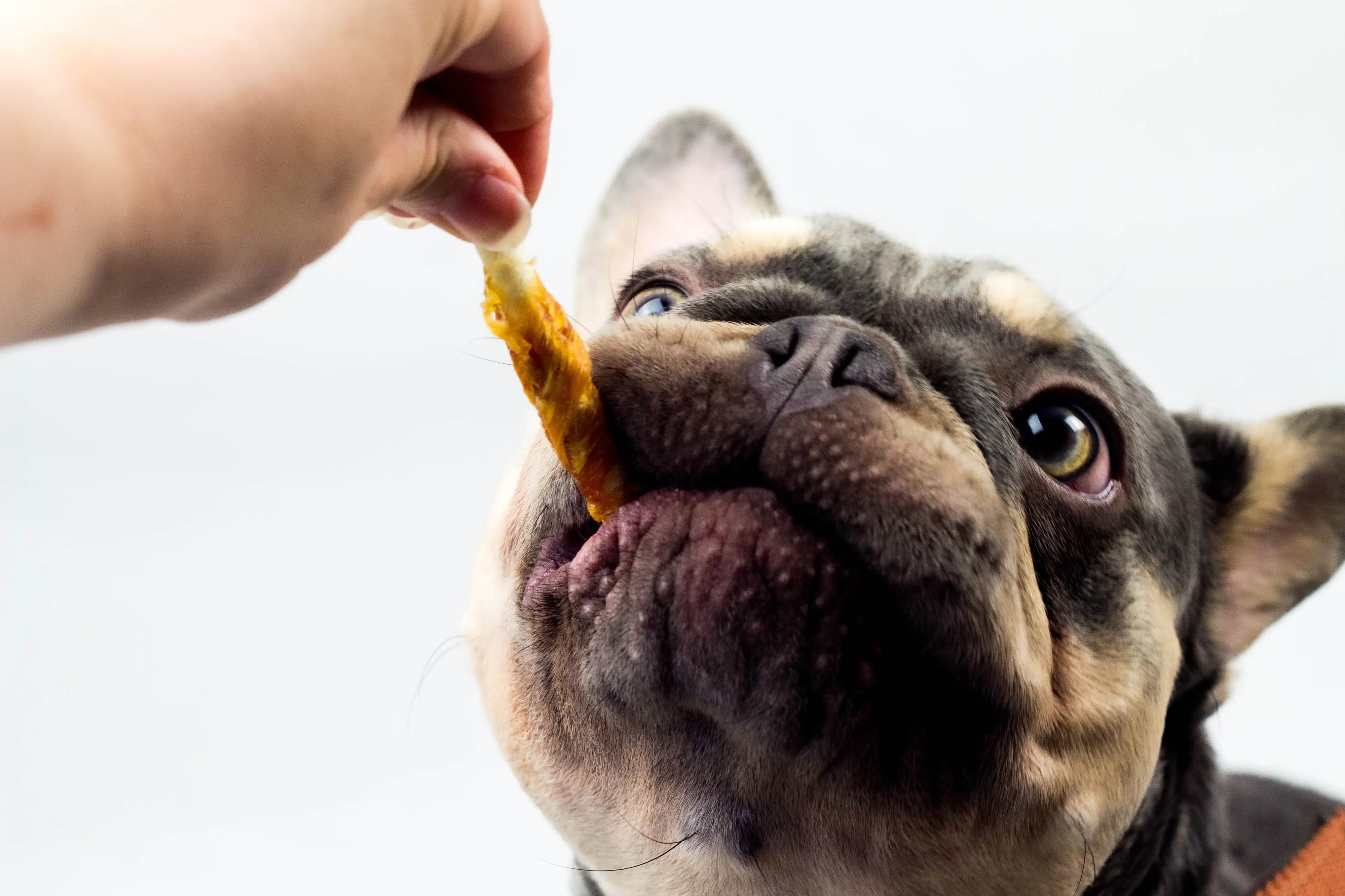 Nobby StarSnack Barbecue Wrapped Chicken 375 g